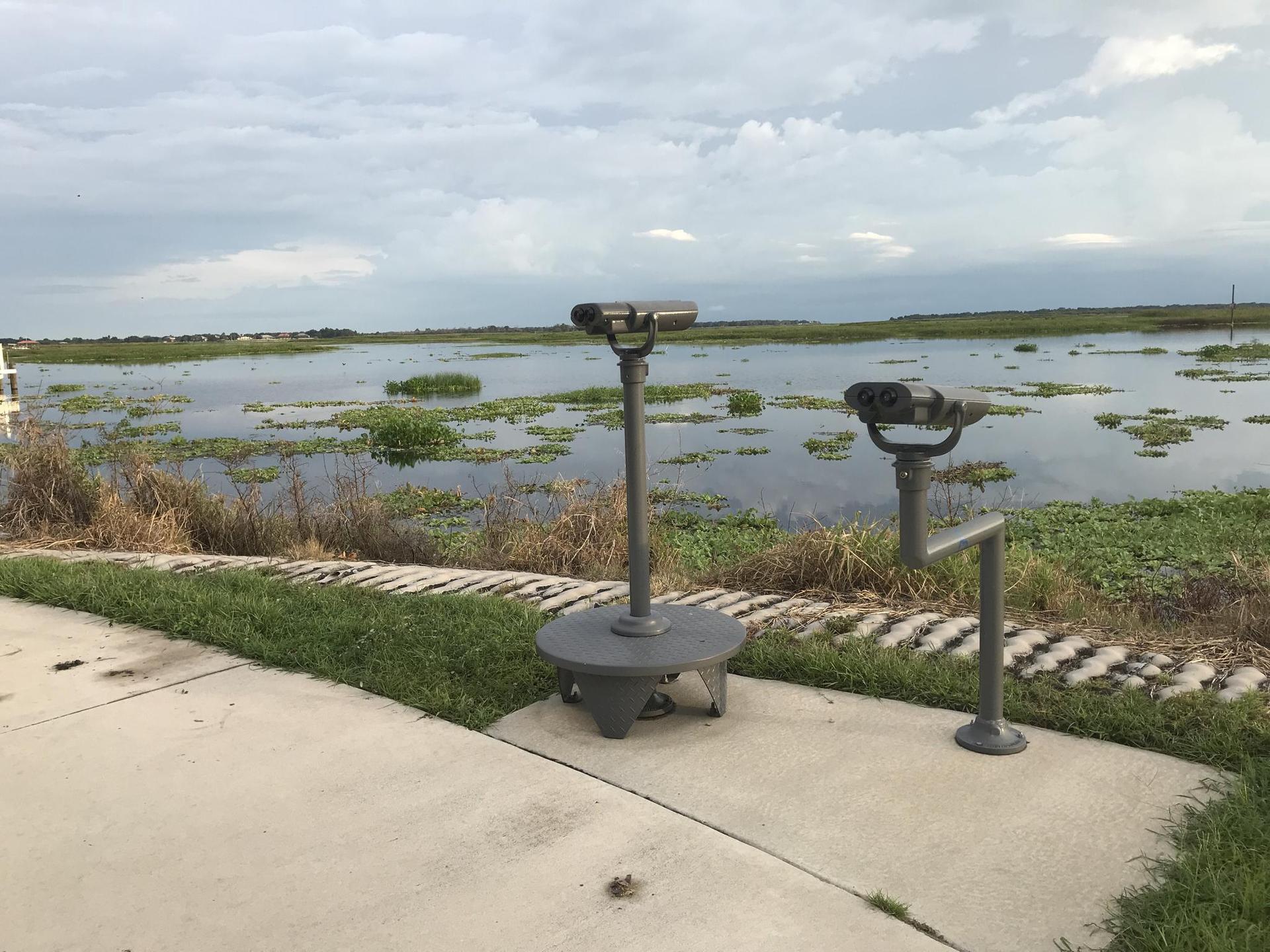 Two viewing binoculars overlook a cloudy, marshy lake under an overcast sky.