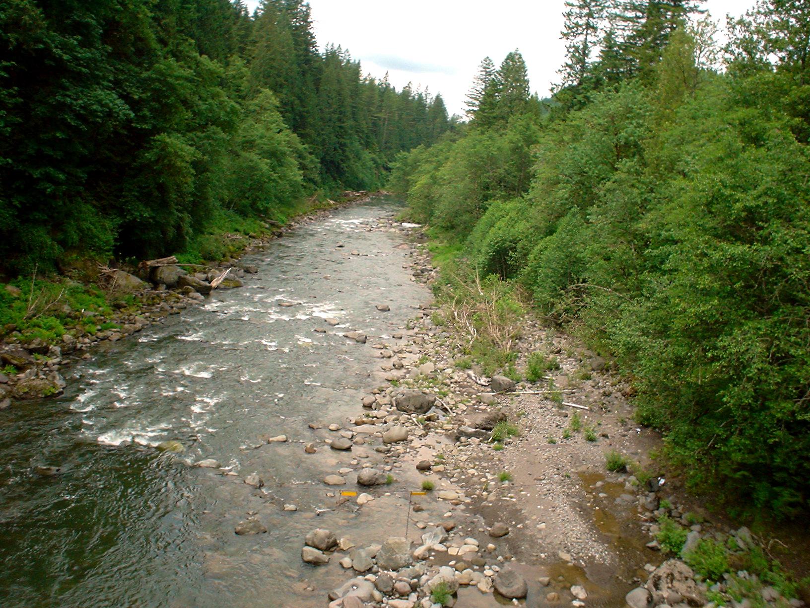A rocky river flows through a dense, green forest under overcast skies.