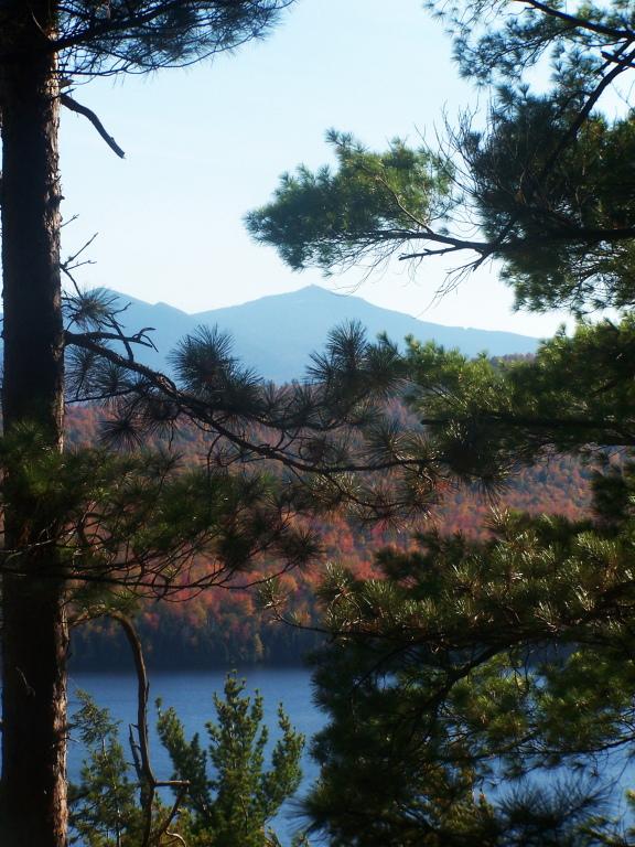 View through pine trees of a lake and vibrant autumn mountains.