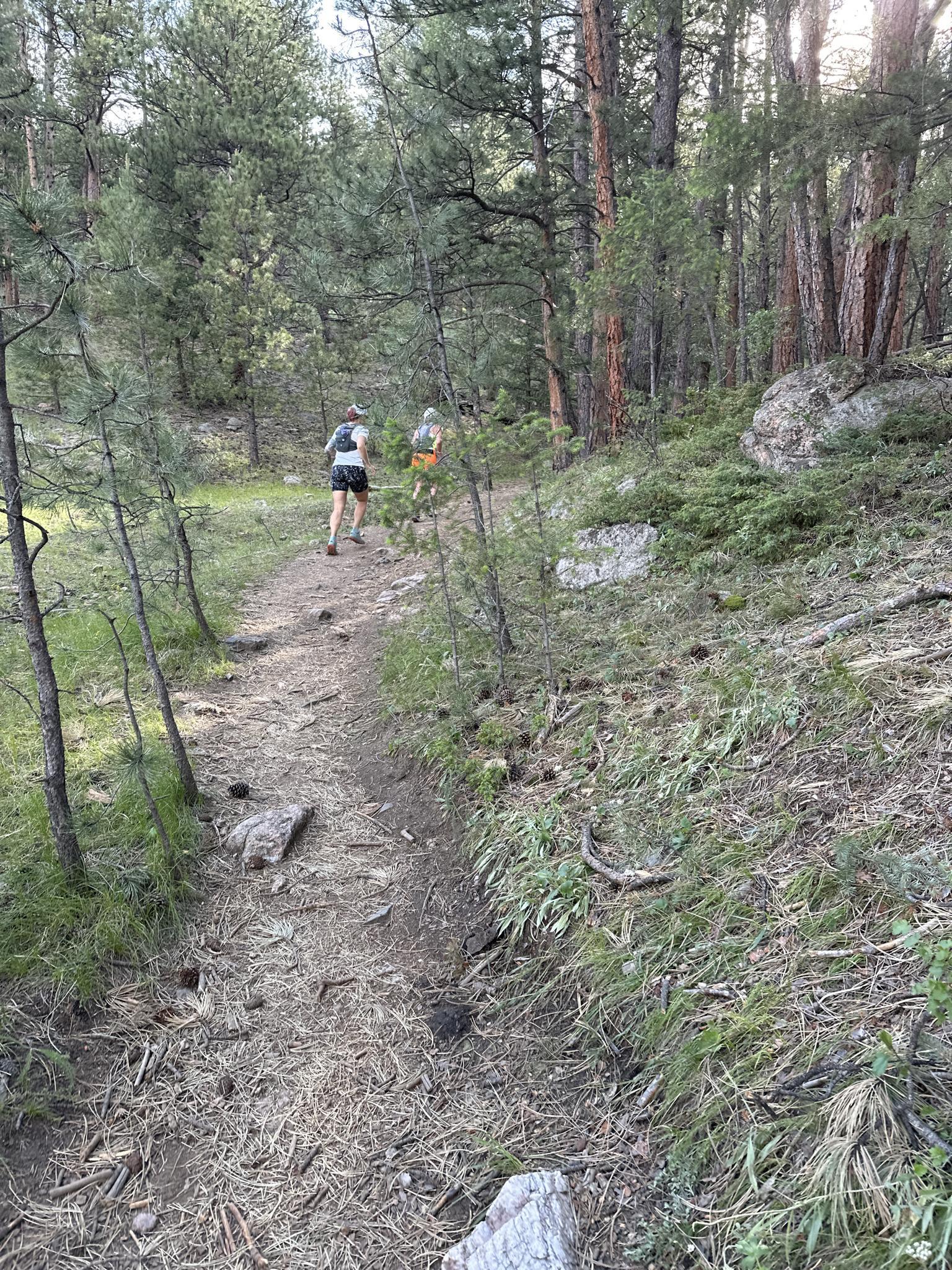 Two hikers on a narrow dirt trail through a sun-dappled forest.
