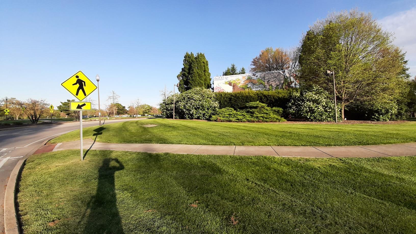 Sunny day, pedestrian sign on green grass next to a road, with trees.