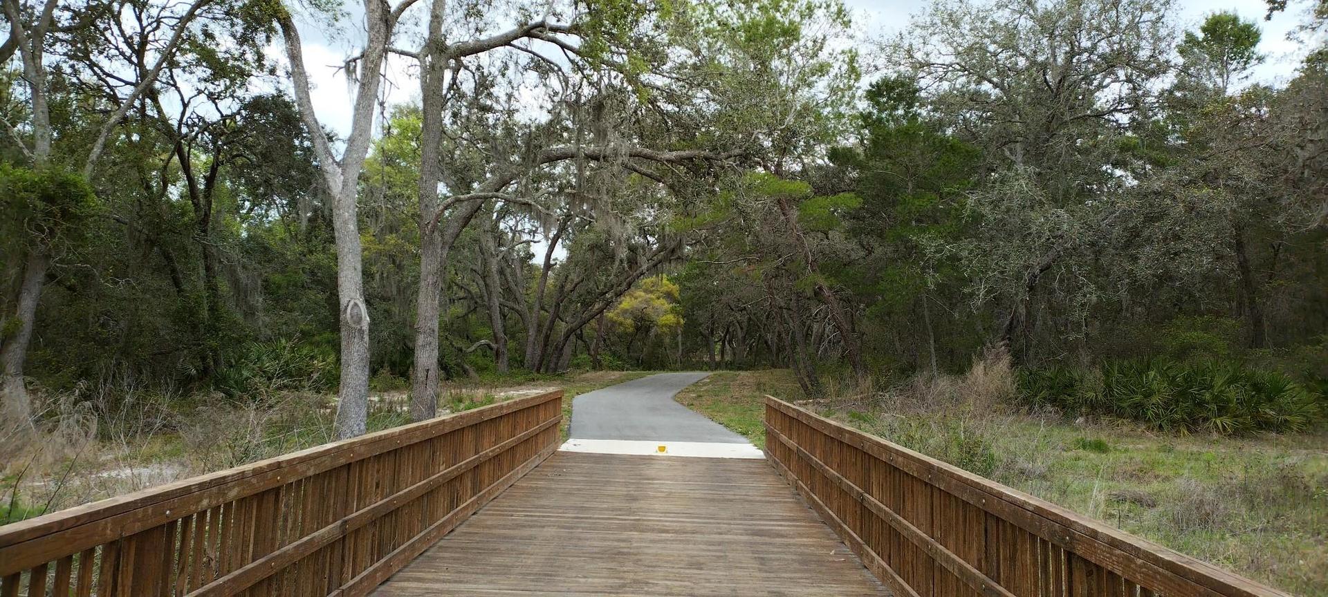 Wooden bridge leads to a paved path through a dense, green forest.
