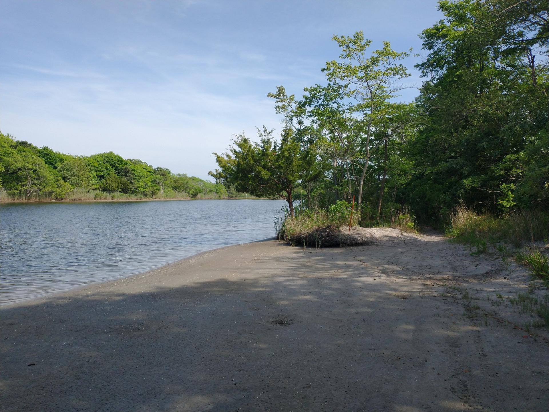 A sandy beach meets calm water under a bright blue sky.