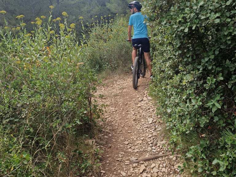 Boucle Route rocailleuse – Vue sur les Alpilles au départ de Maussane ...