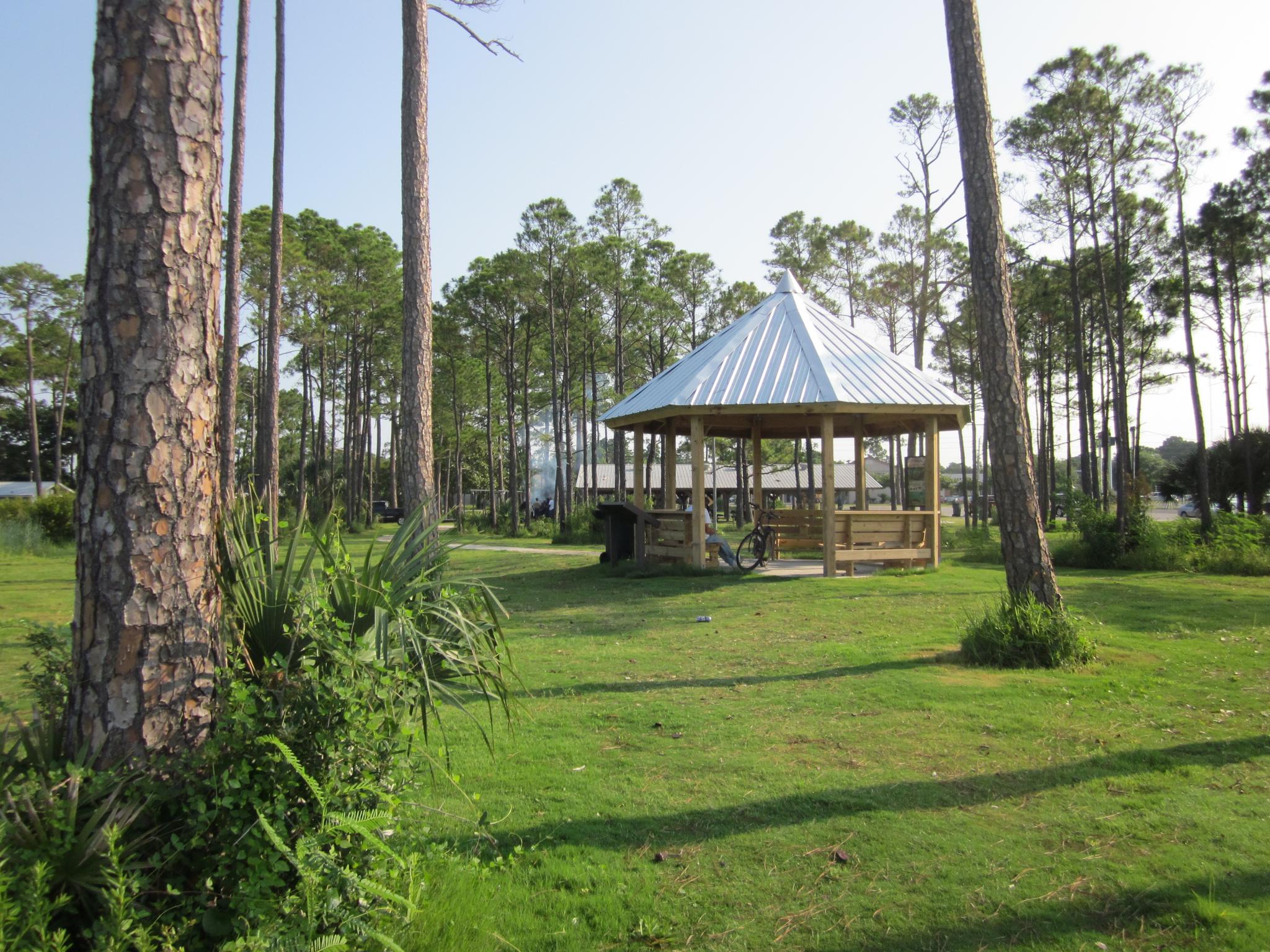 Wooden gazebo in a sunny grassy park surrounded by tall pine trees.