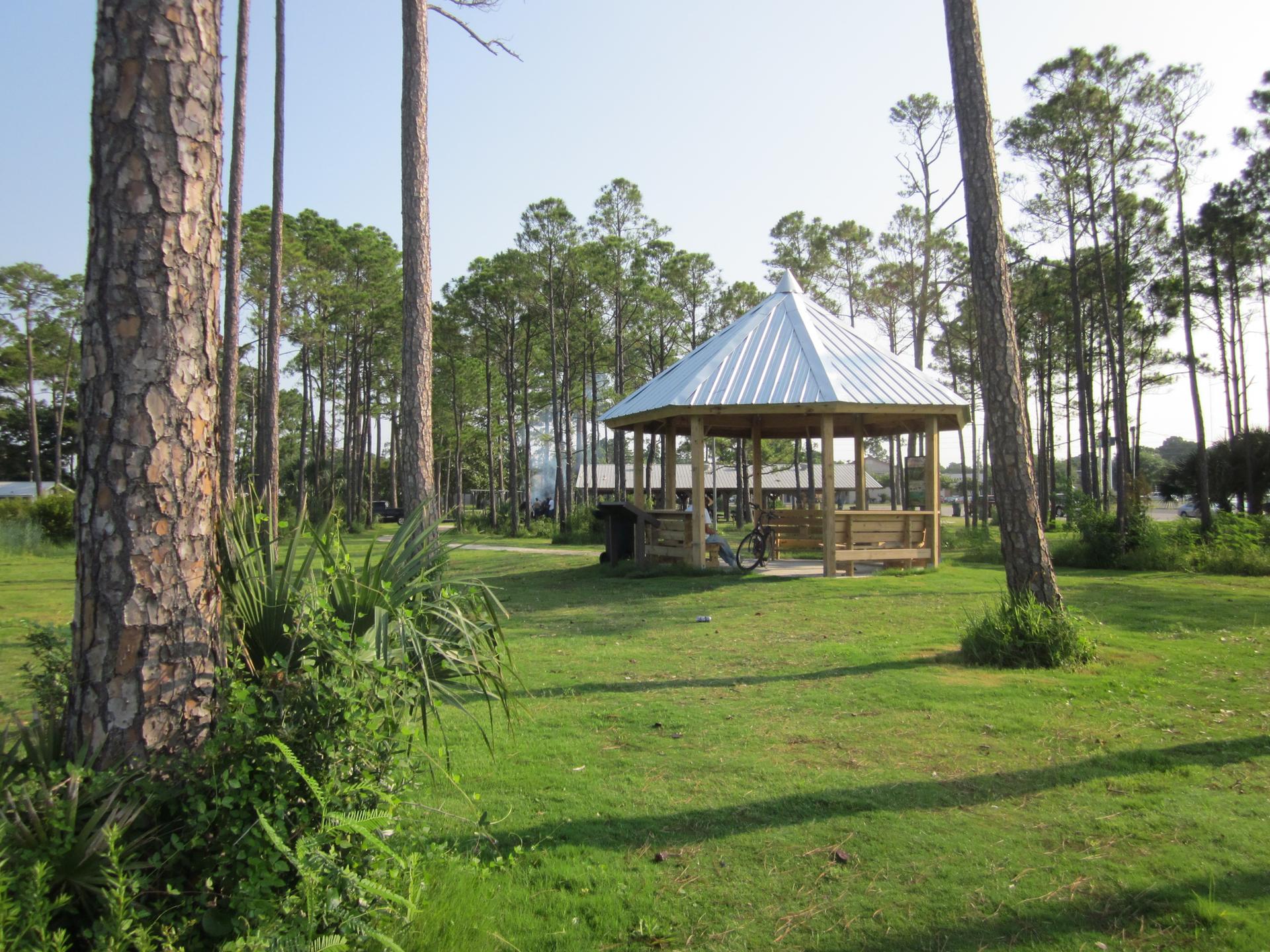 Wooden gazebo in a sunny grassy park surrounded by tall pine trees.