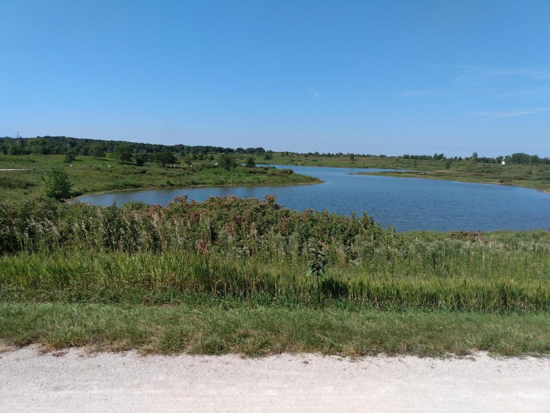 A winding lake surrounded by green grass and distant trees on a sunny day.
