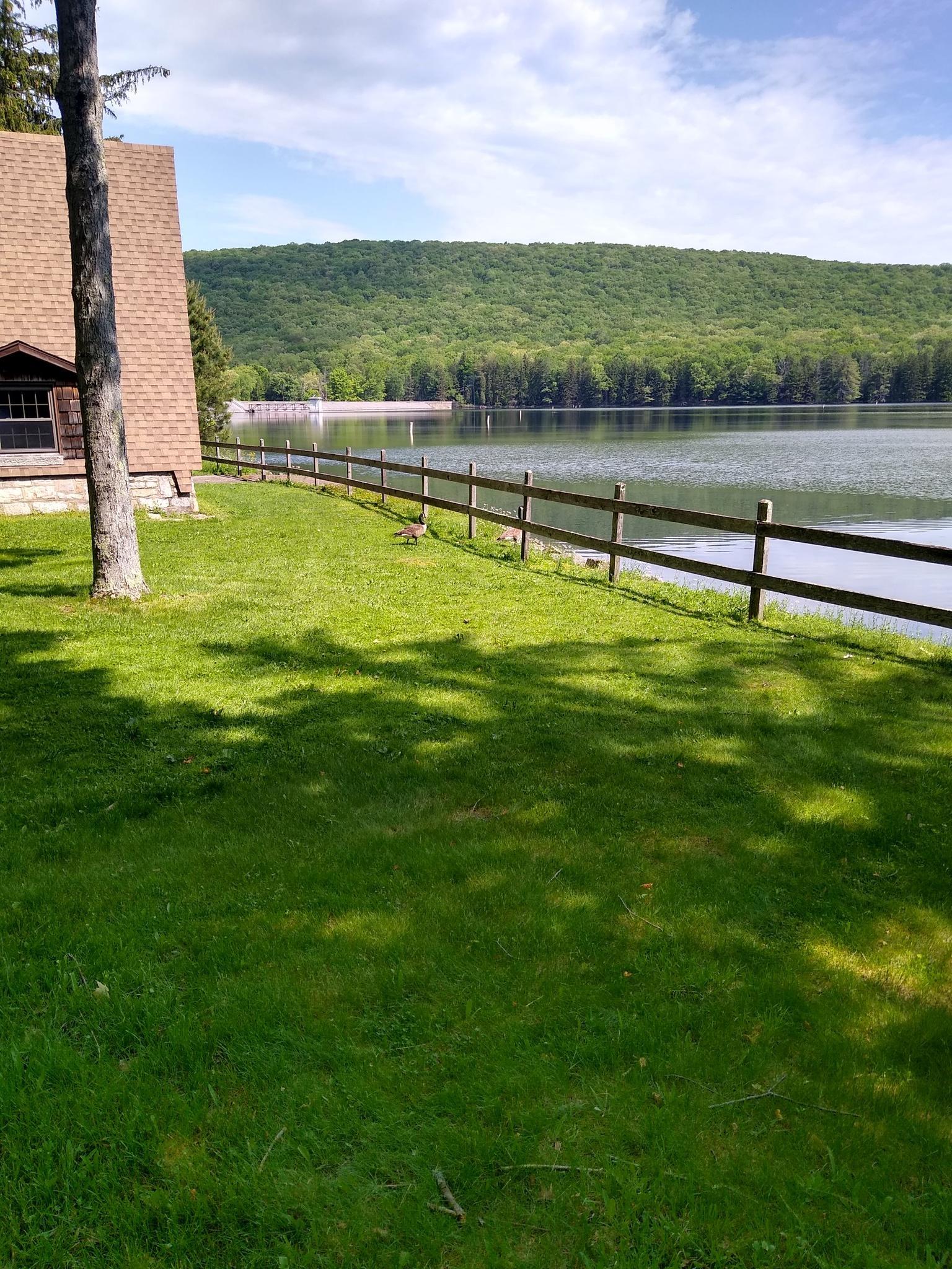 Sunny day by a lake with forested hills, a building, and green grass.