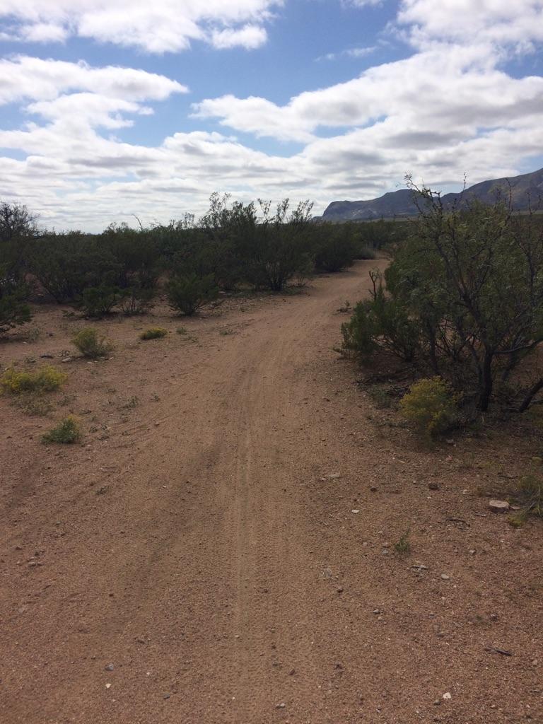 A winding dirt path through desert scrub under a cloudy sky.