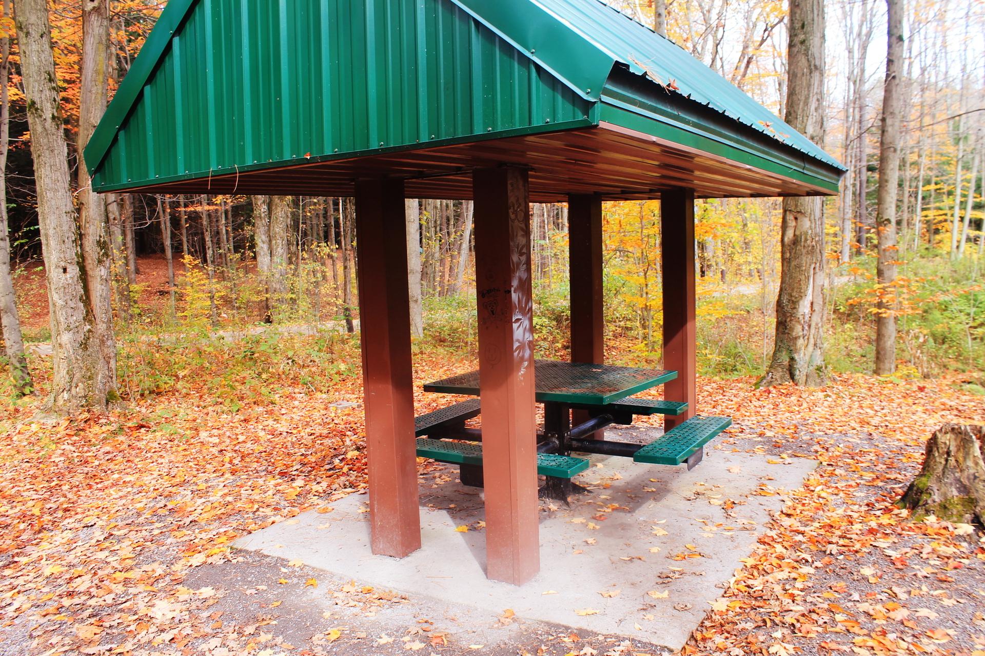 Empty picnic shelter with green roof surrounded by colorful autumn leaves.