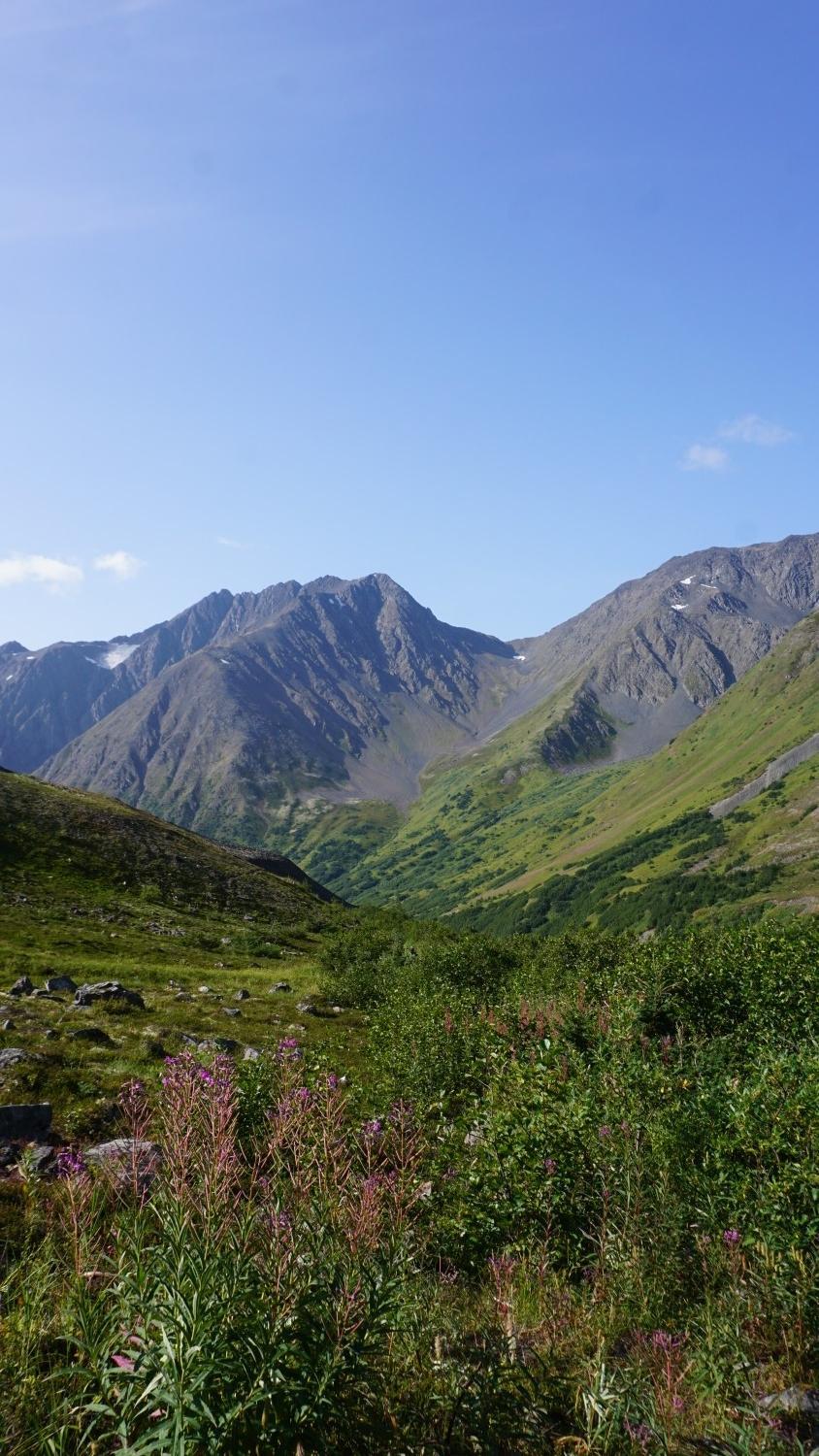 Sunny mountain valley with rocky peaks, green slopes, and purple wildflowers in foreground.