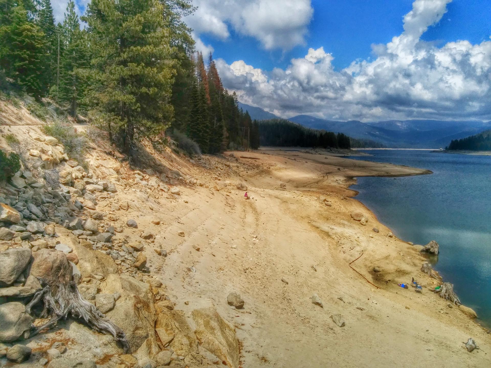 Sunny lake shore with exposed sandy banks, pine trees, and distant mountains.