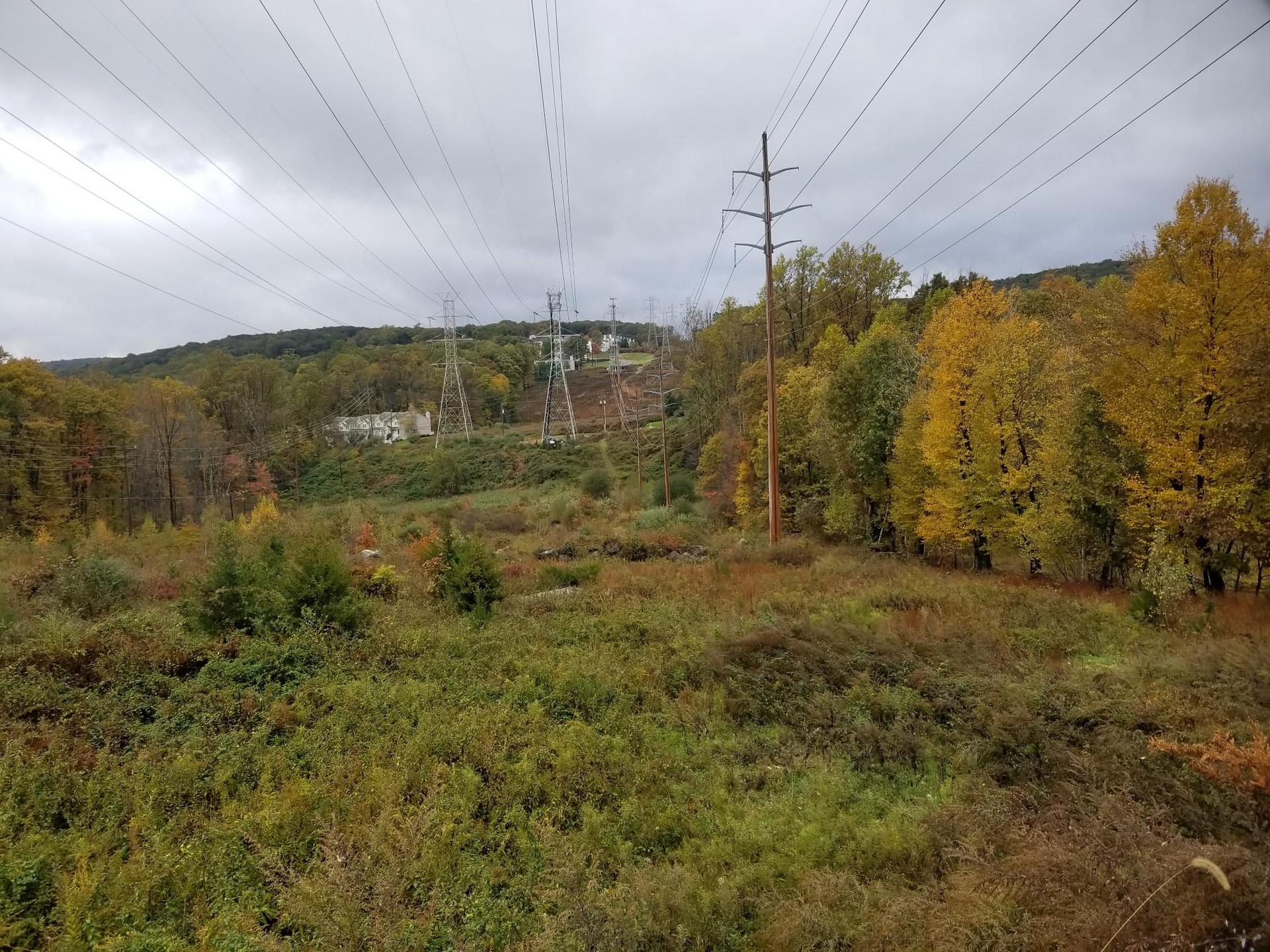 Power lines stretch over an overgrown field and autumn trees under a cloudy sky.