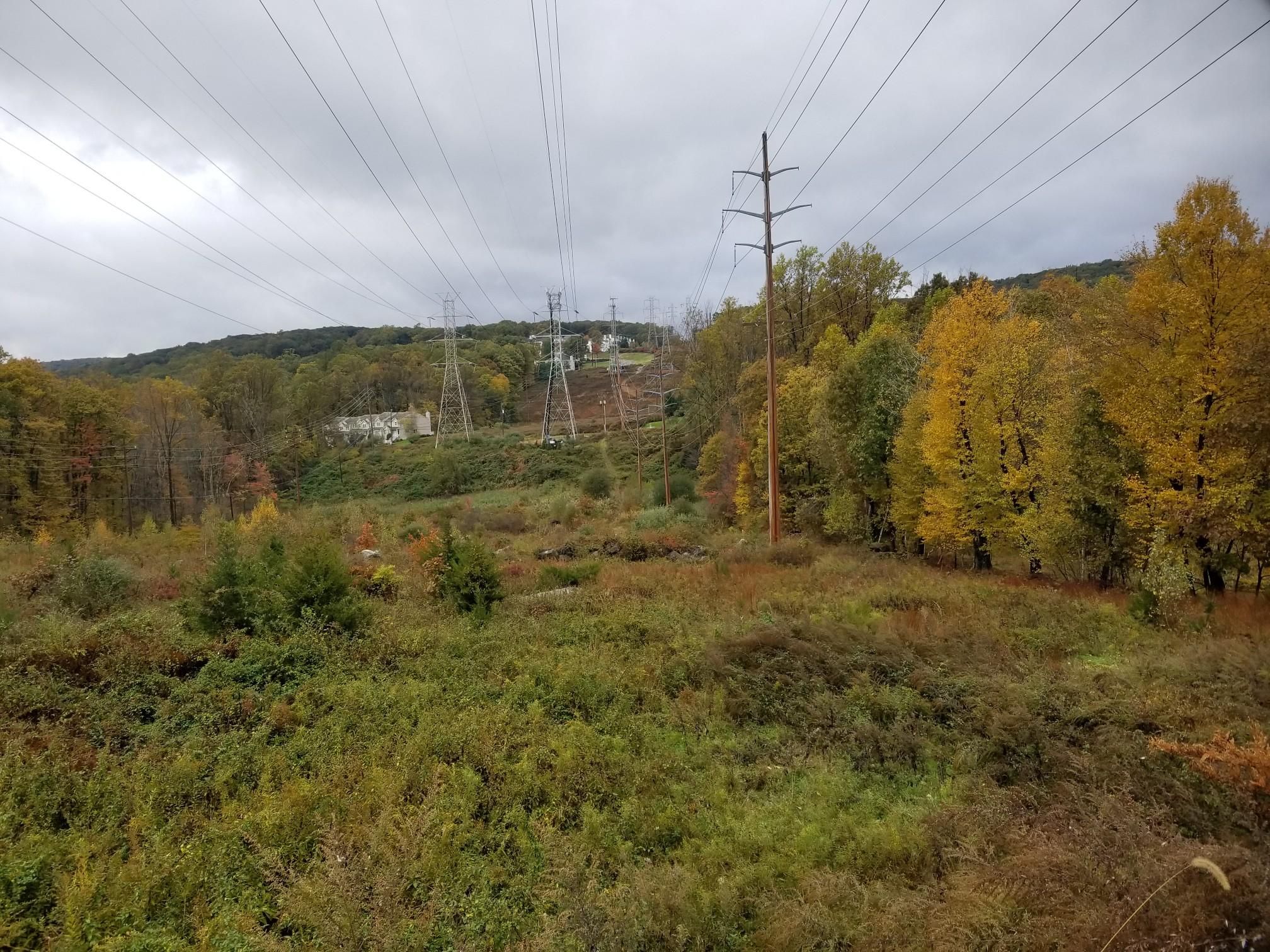 Power lines stretch over an overgrown field and autumn trees under a cloudy sky. - Beacon Hill Trail