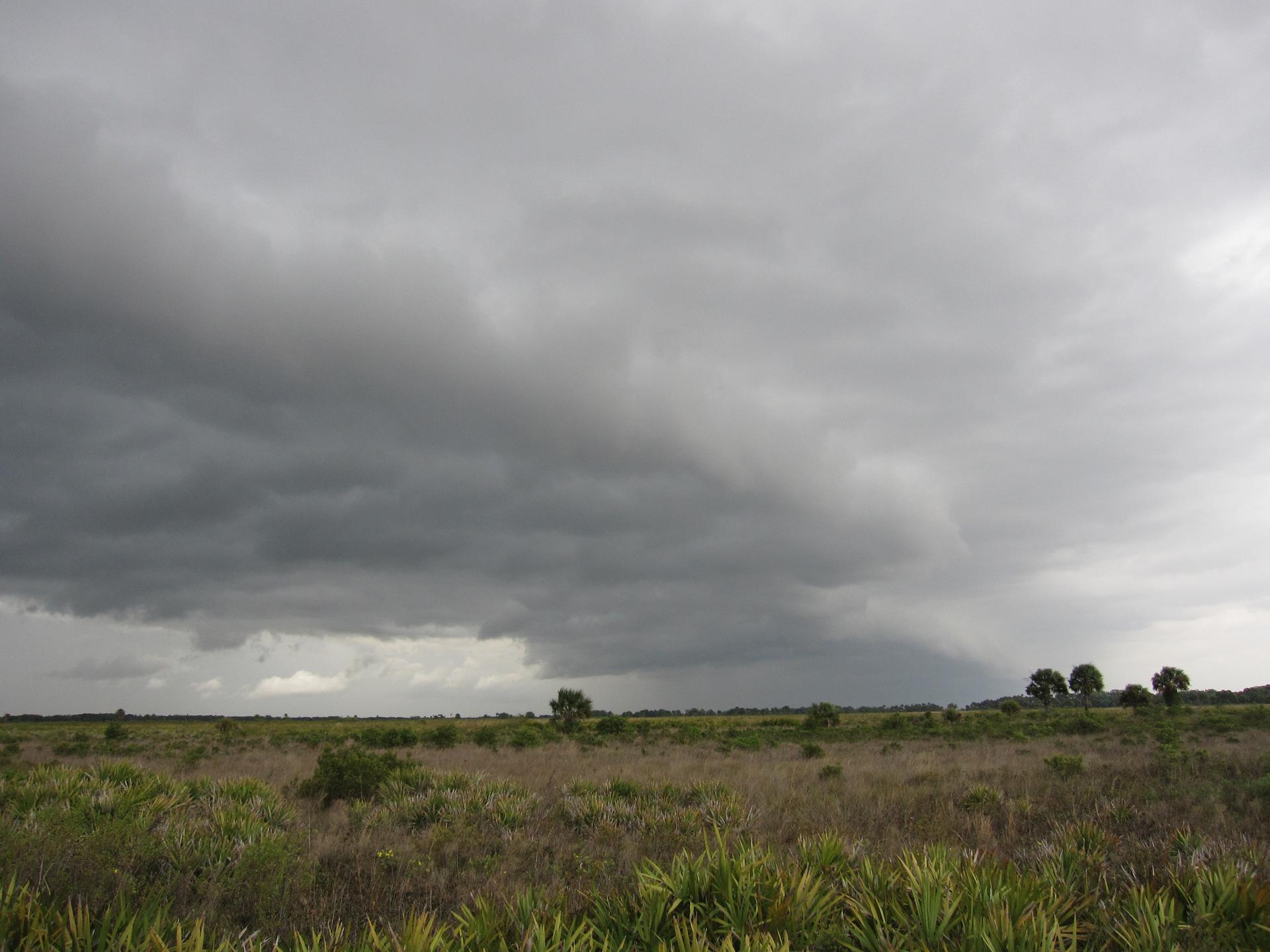 A vast open field under a dramatic, dark, cloudy sky.