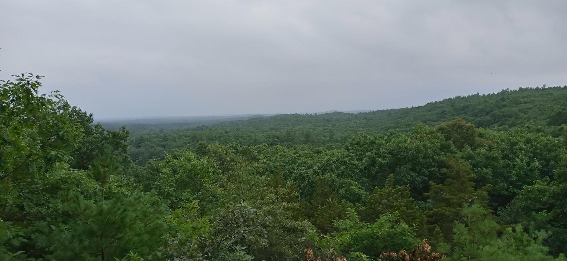 Expansive view of a green forest covering rolling hills under a cloudy sky.