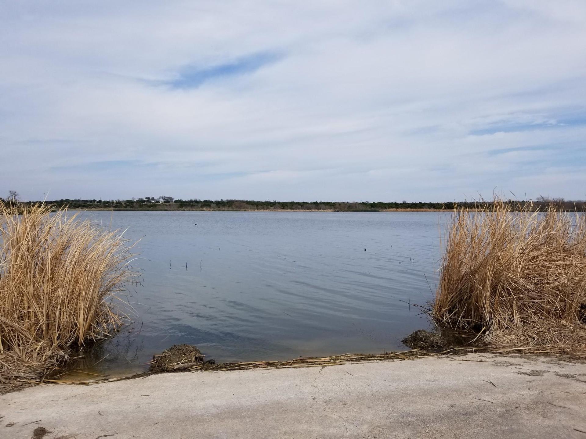 Overcast day over a calm lake bordered by dry golden reeds.