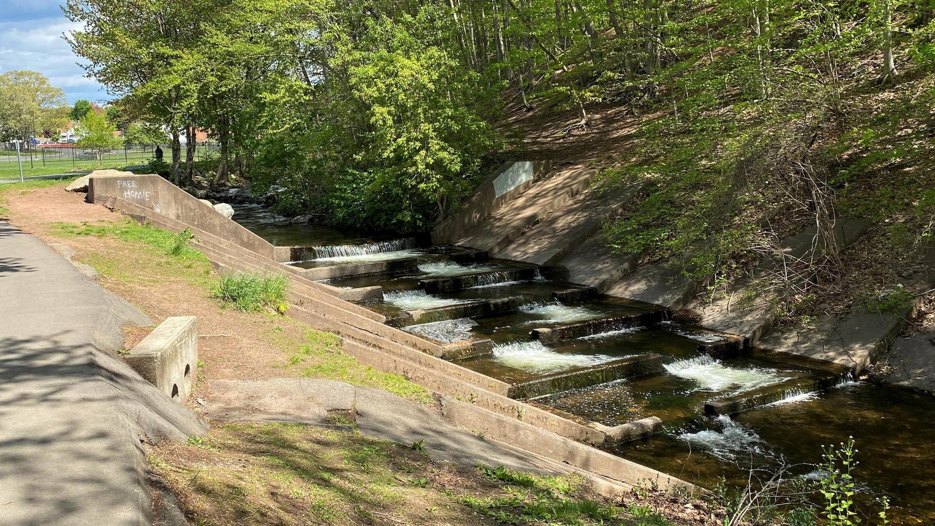 Sunny view of a stepped stream flowing beside a paved walking path.
