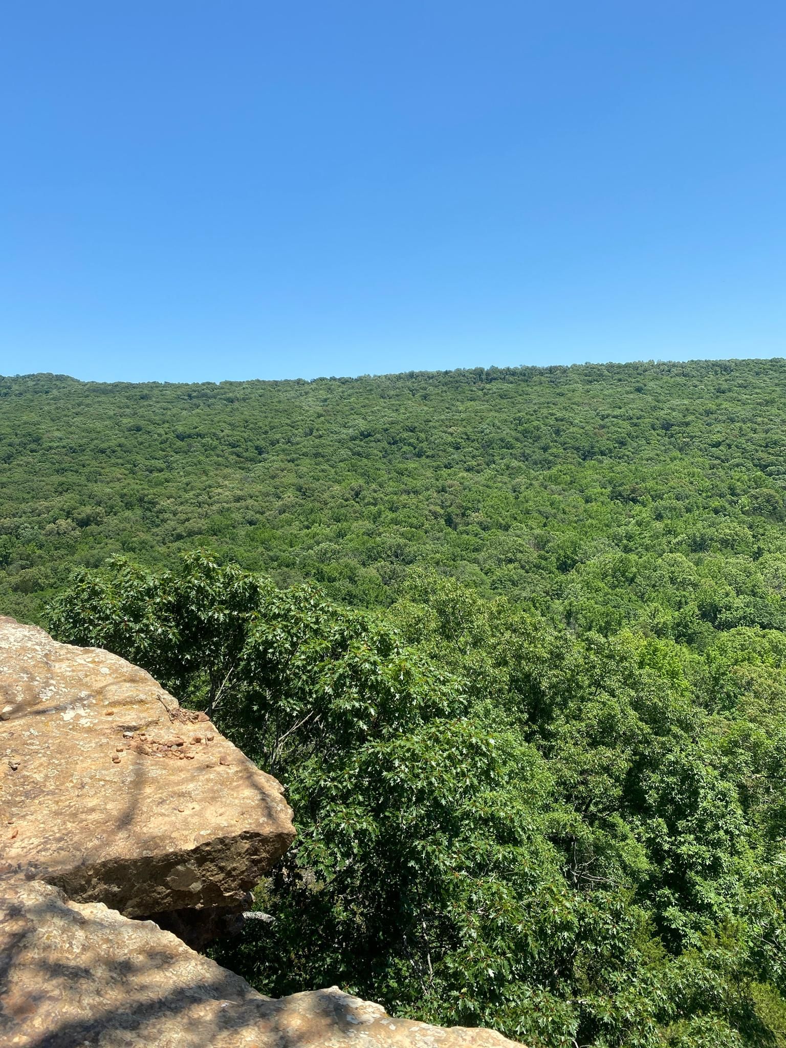 Sunny view from a rocky cliff overlooking a vast green forest. - Yellow Rock Trail