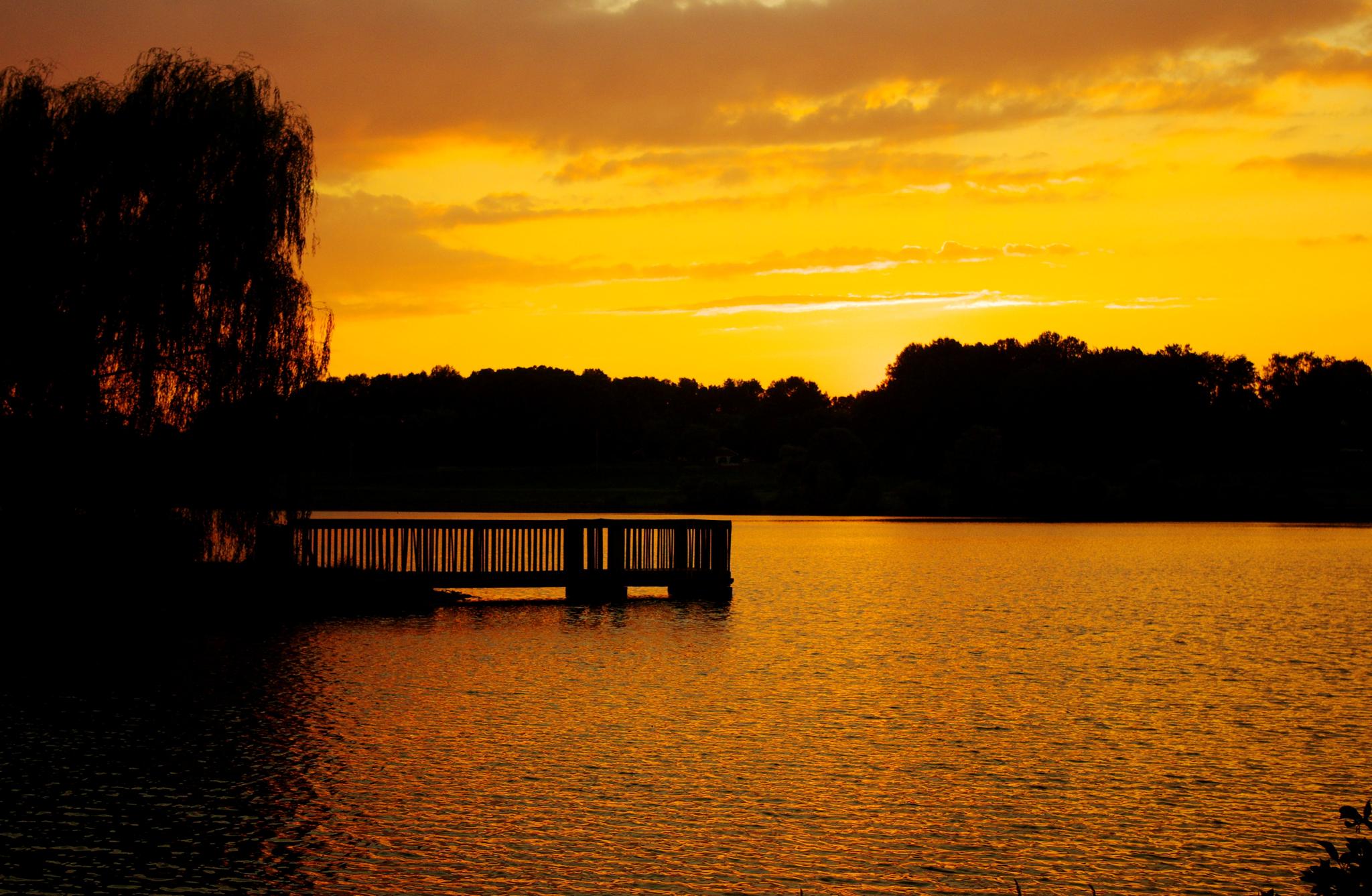 Silhouetted trees and a dock against a fiery orange sunset over calm water.