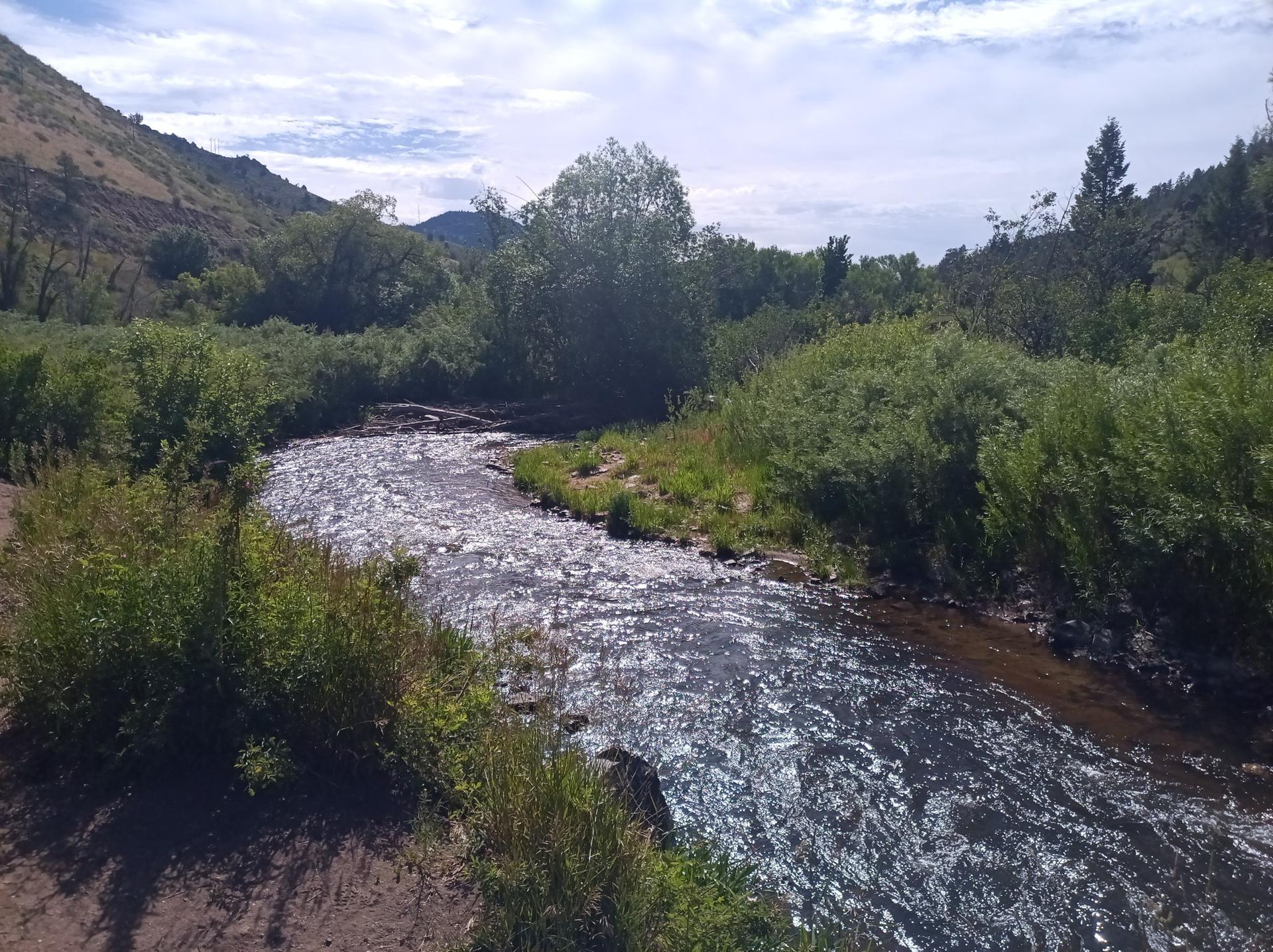 Winding river flowing through lush green bushes and distant hills.