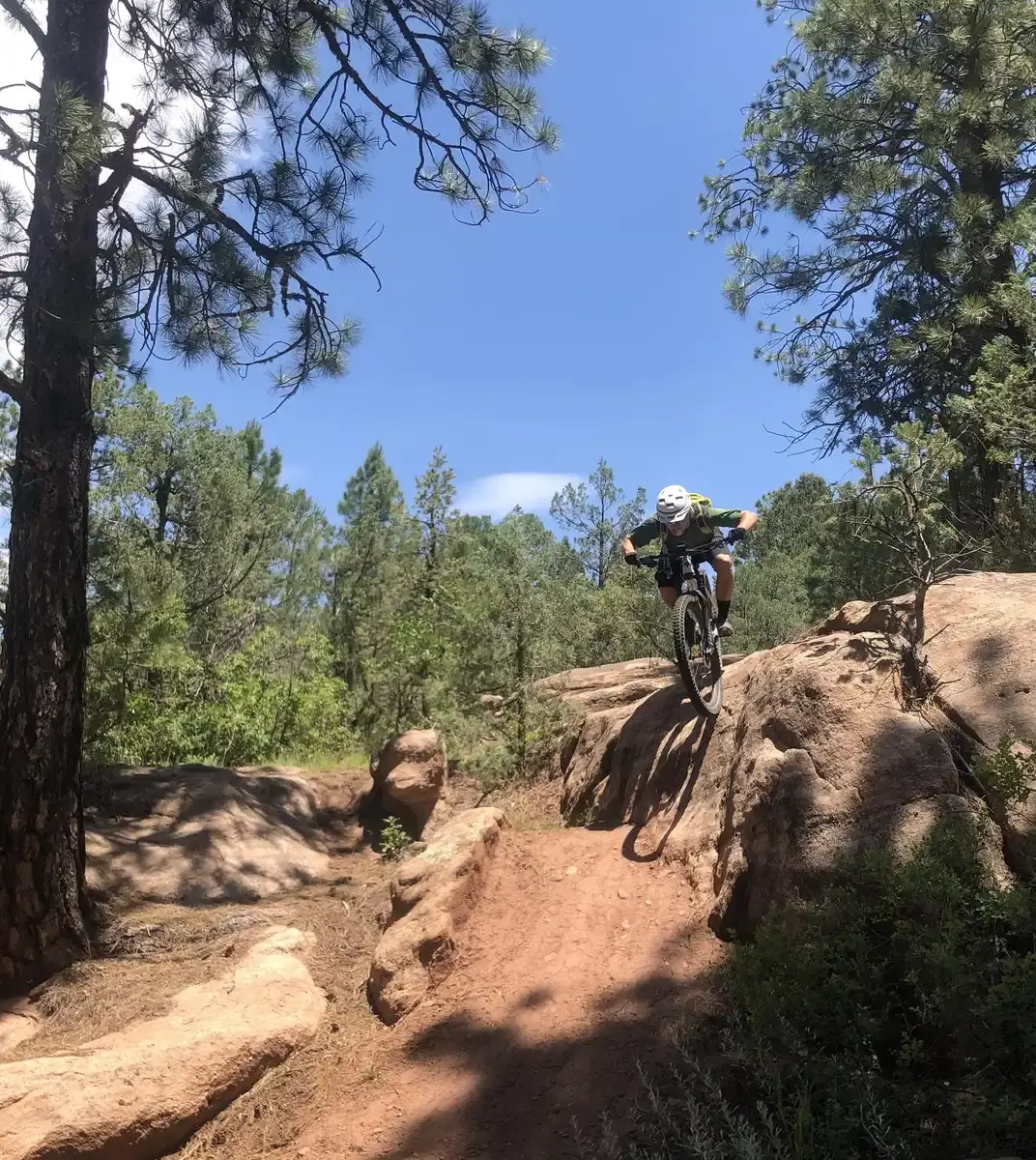 Mountain biker descends a rocky, sunlit dirt trail through a forest.