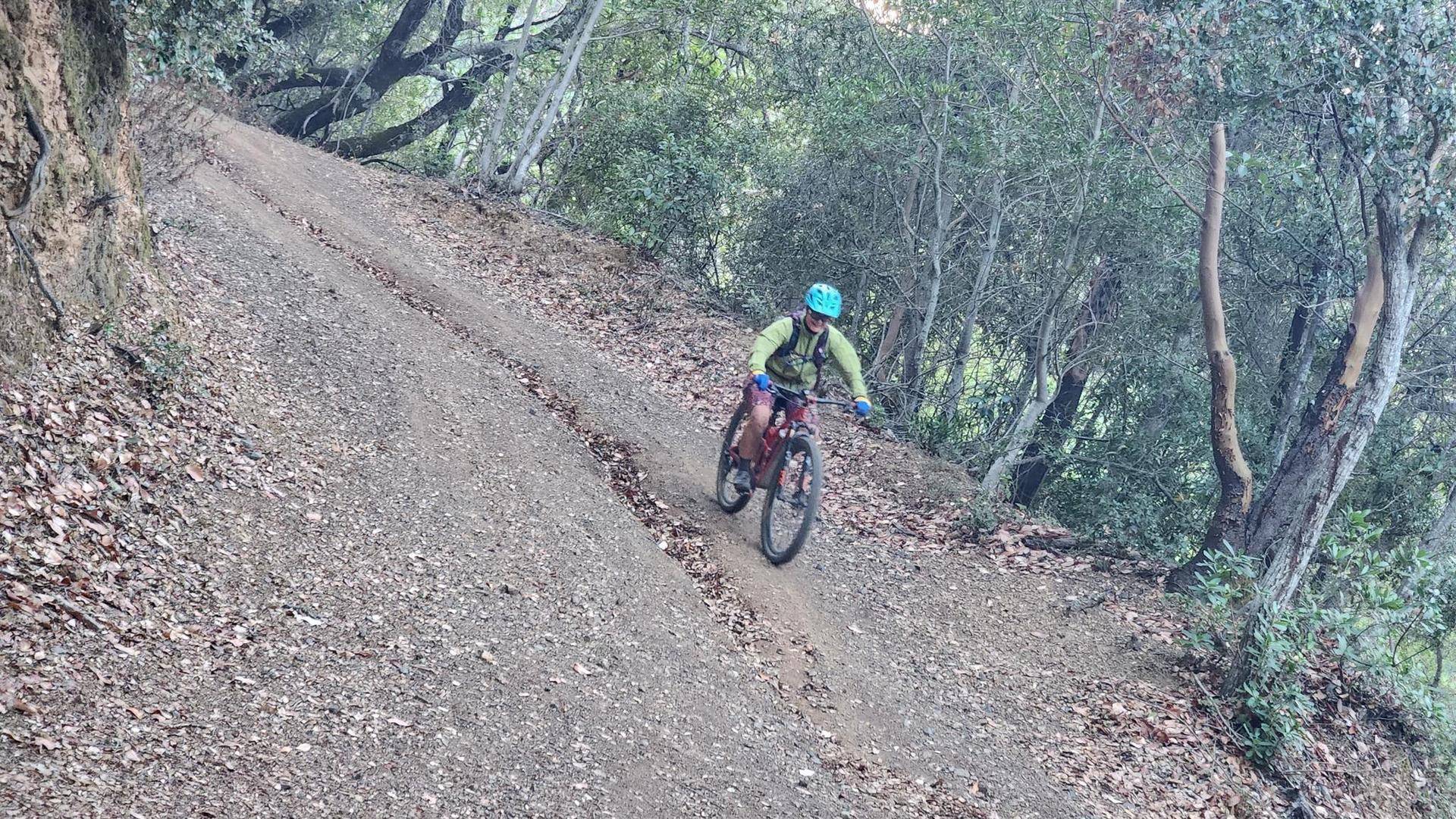 A person on a mountain bike rides down a steep dirt trail.