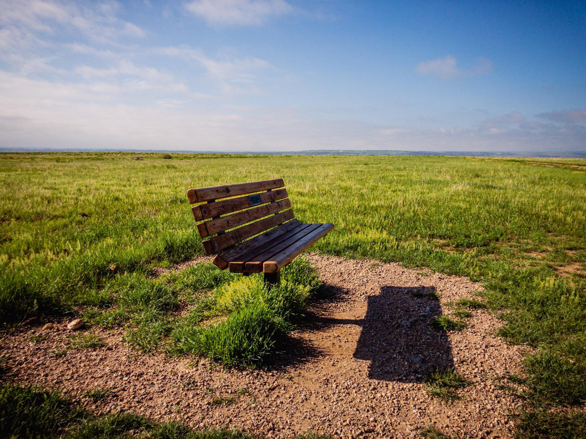A wooden bench sits on a gravel patch in a vast sunny green field.