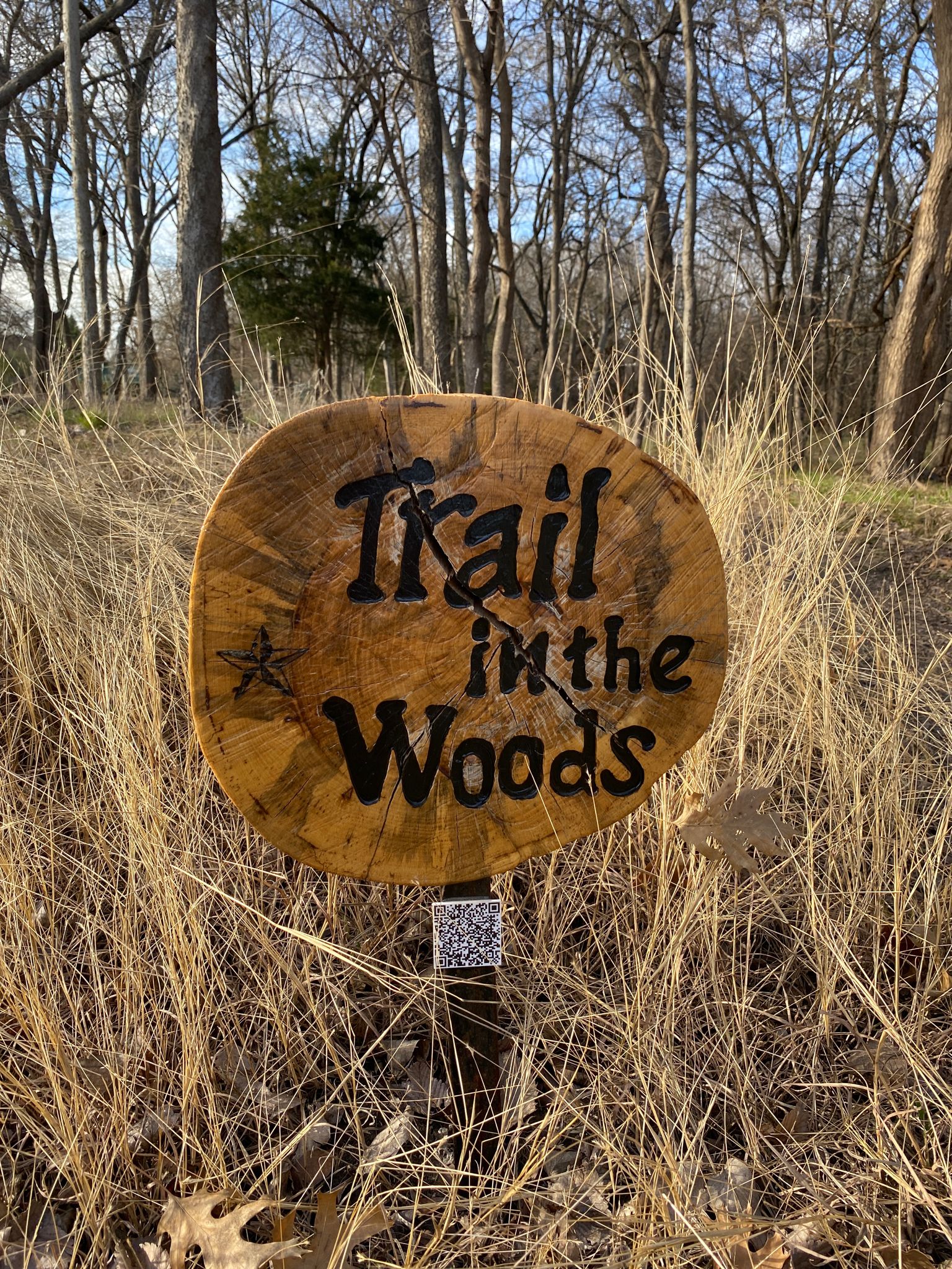 Wooden "Trail in the Woods" sign in dry grass with bare trees. - Allen Old Stone Dam – Trail in the Woods loop from Lovejoy High School