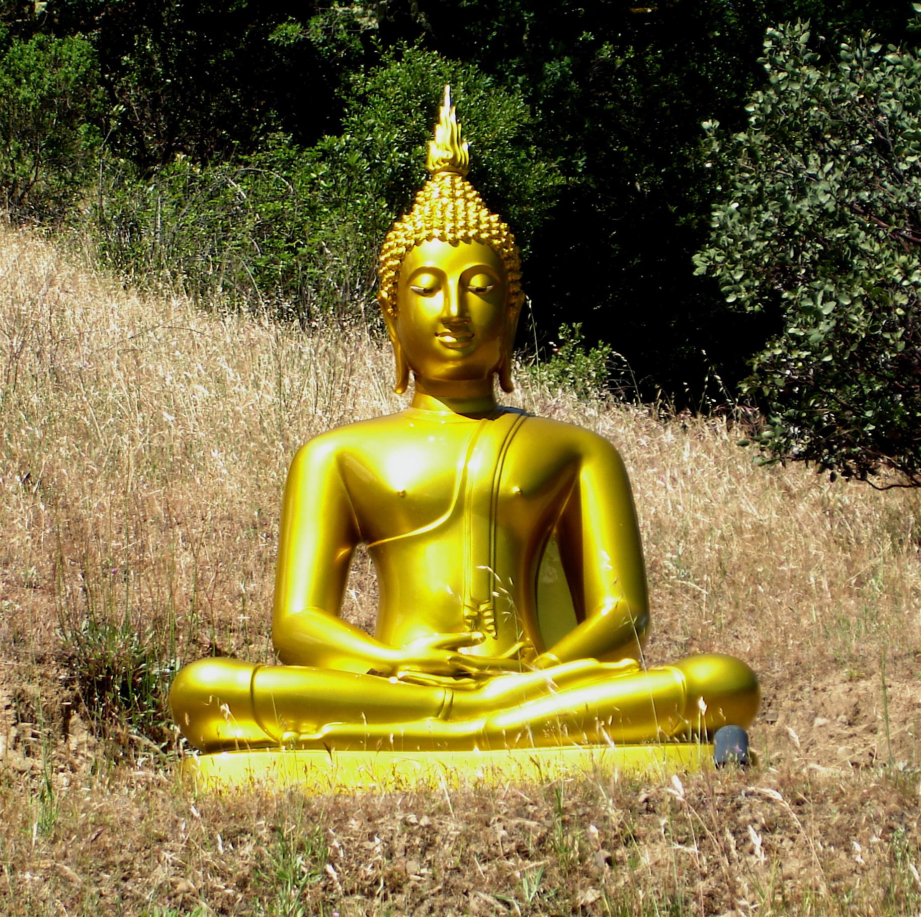 Golden Buddha statue sitting in dry grass with green trees behind it.