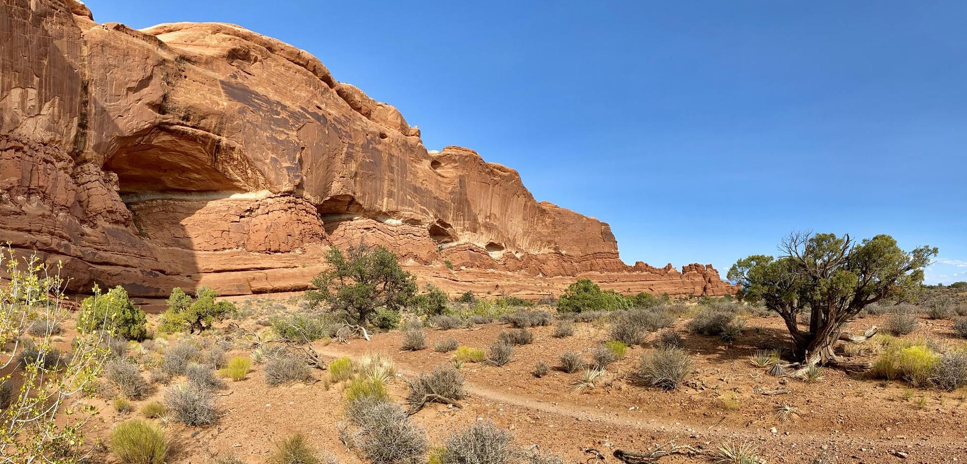 Red rock cliff with an overhang, desert shrubs, and a clear blue sky.