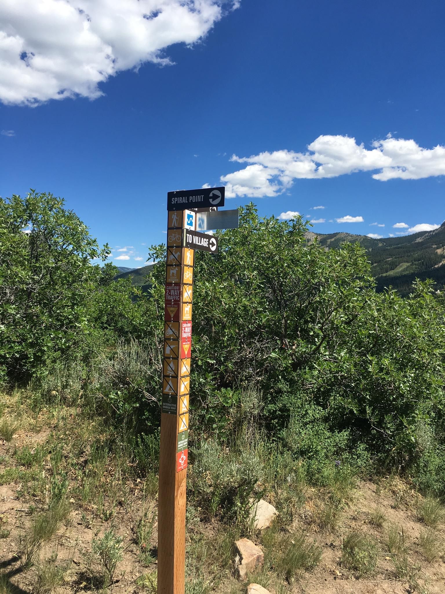 A wooden trail signpost stands amidst green foliage under a blue sky. - Rim Trail South to Spiral Point