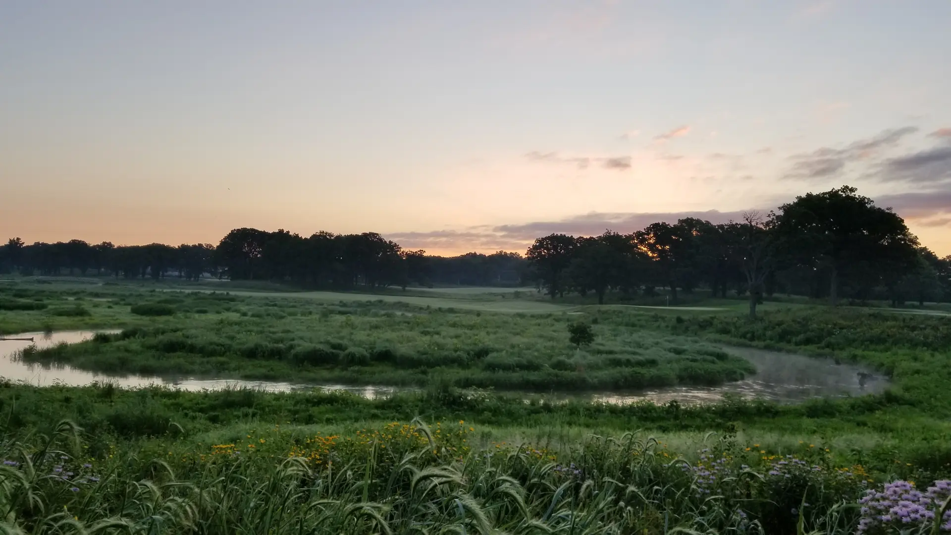 Misty morning landscape with a winding stream through green fields and distant trees.