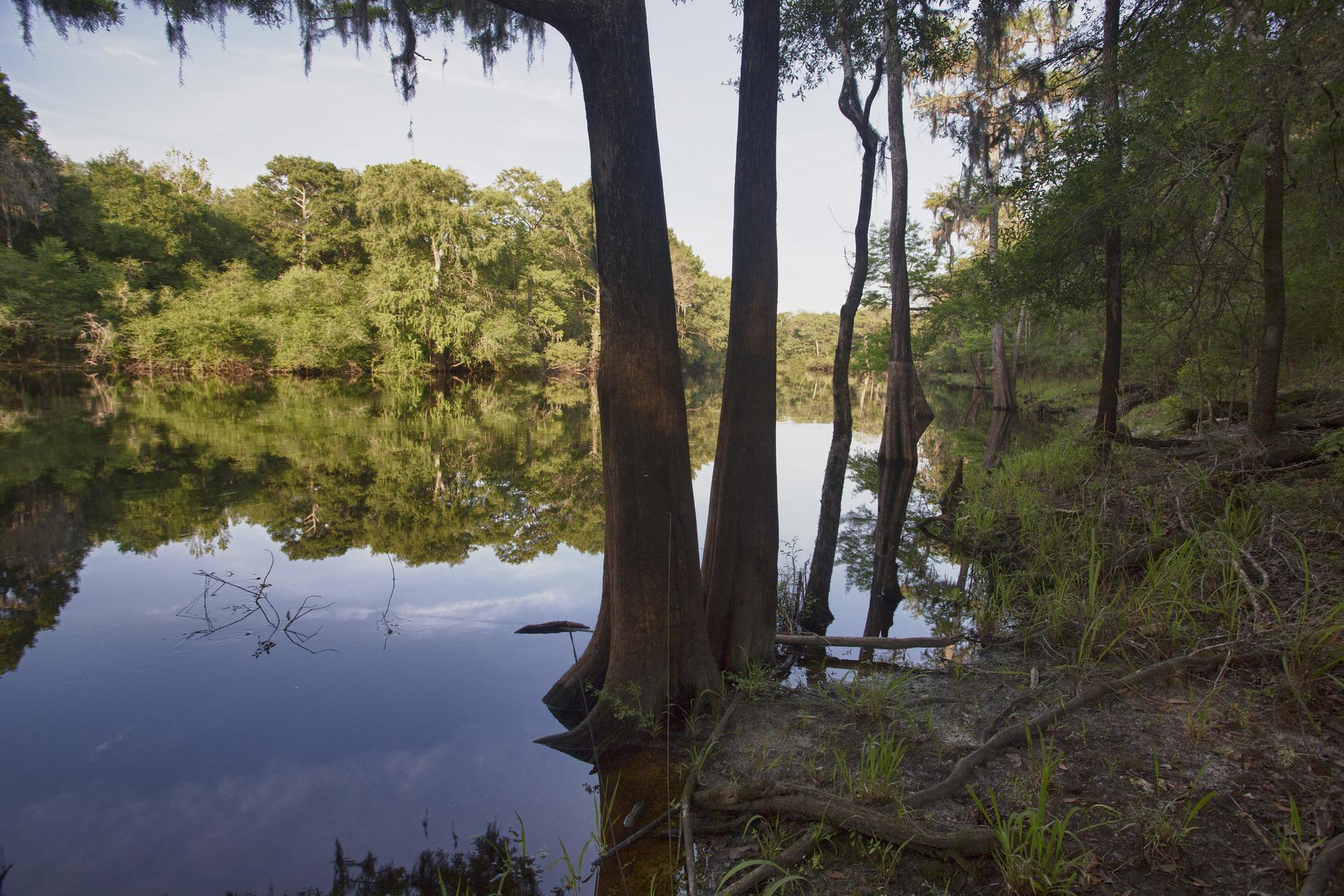 Calm river with trees on banks, reflections on water, soft natural light.
