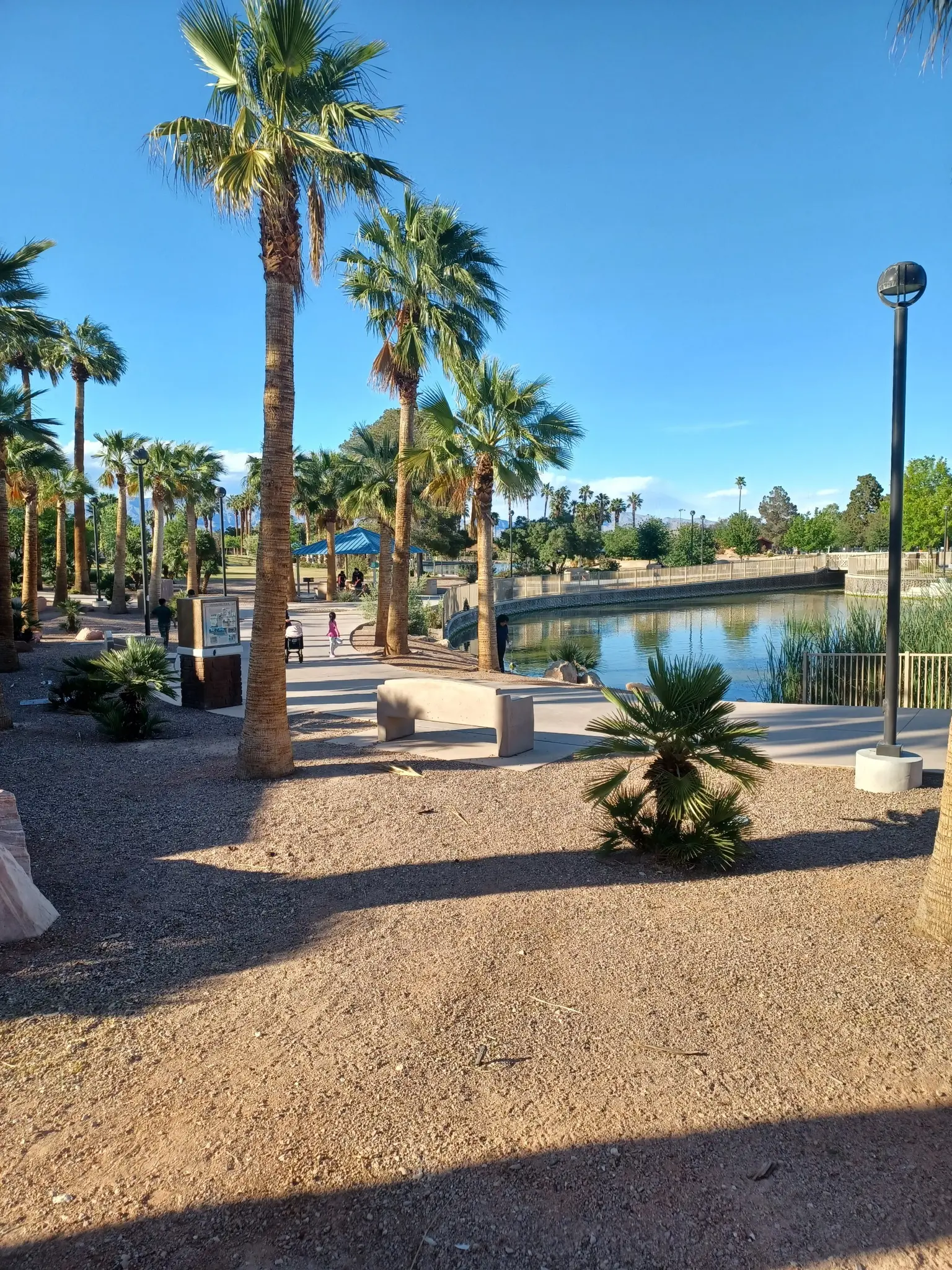 Sunny park scene with palm trees, a calm lake, and people walking.