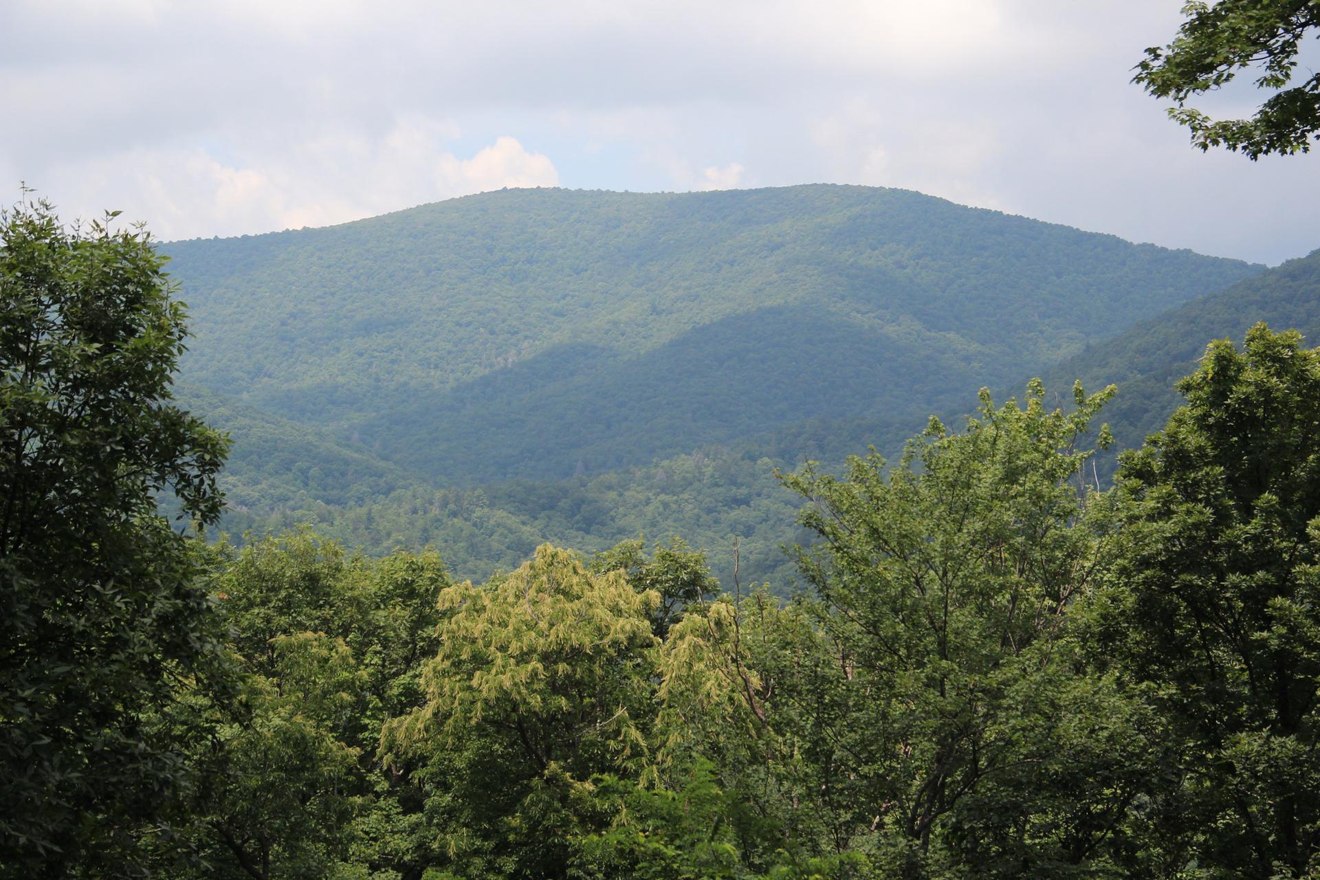 Lush green forested mountains under a cloudy sky.