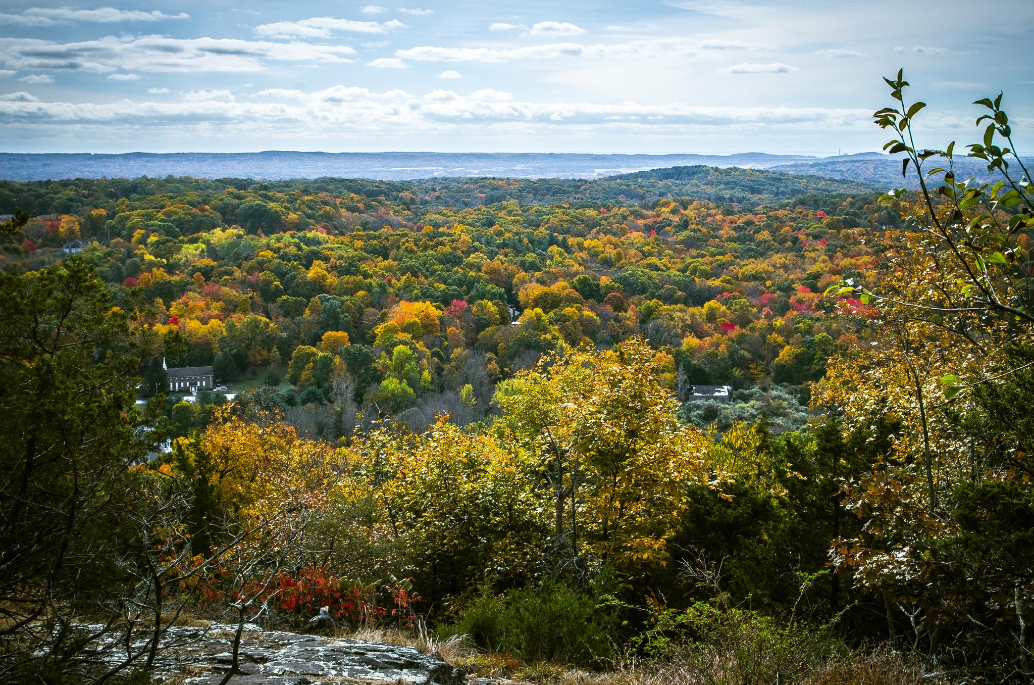 Vibrant autumn forest canopy from an elevated view under a bright, partly cloudy sky.