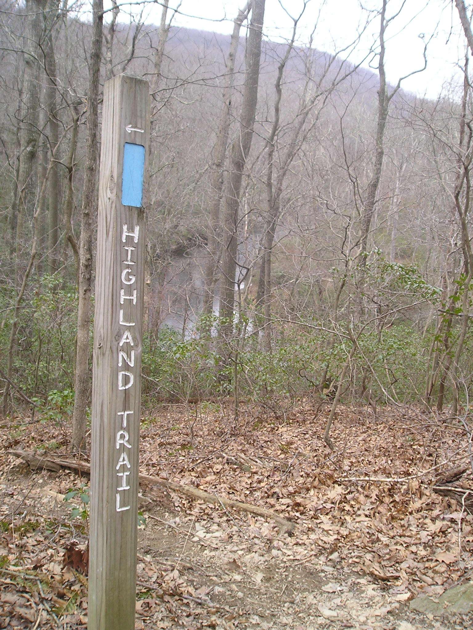 Wooden trail marker post with a blue blaze in a bare winter forest.