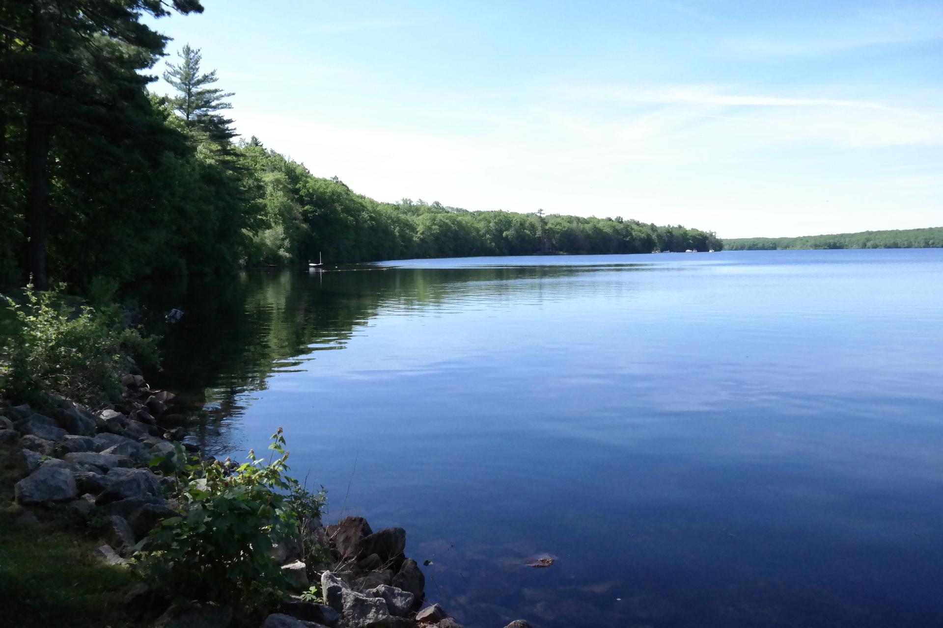 Calm blue lake with forested shores under a bright, sunny sky.