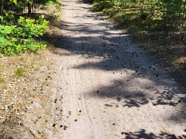 Unpaved forest and field path Cycle Routes and Map | Komoot