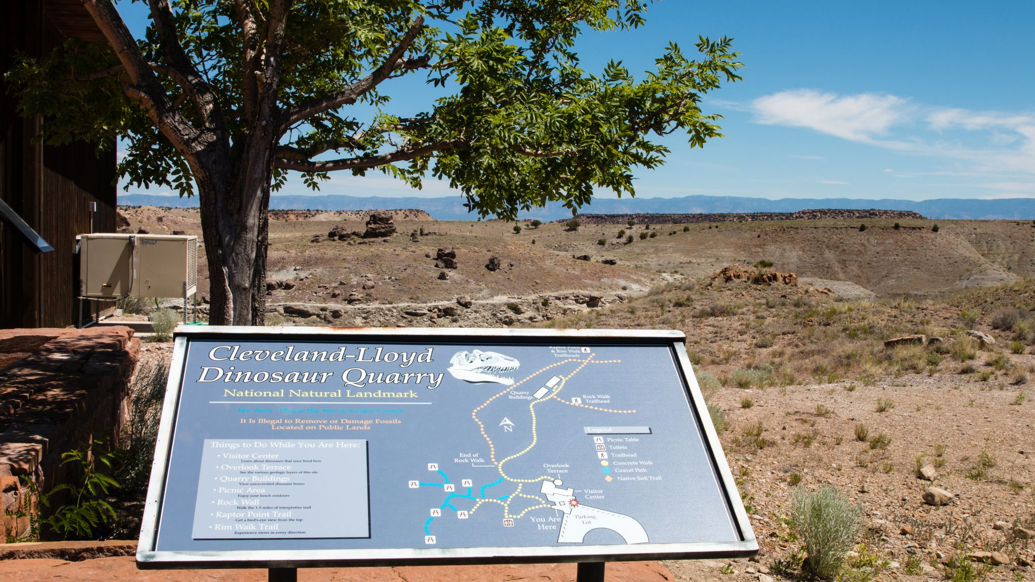 Informational sign in sunny desert landscape with a tree and distant hills. - Rim Trail