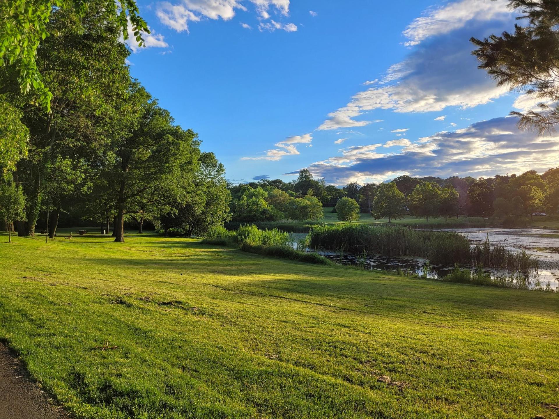 Sunny green field next to a lake with lush trees under a blue sky.
