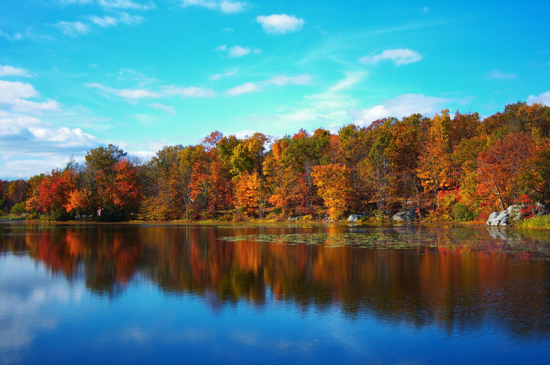 Vibrant autumn trees reflect in a calm lake under a bright blue sky.