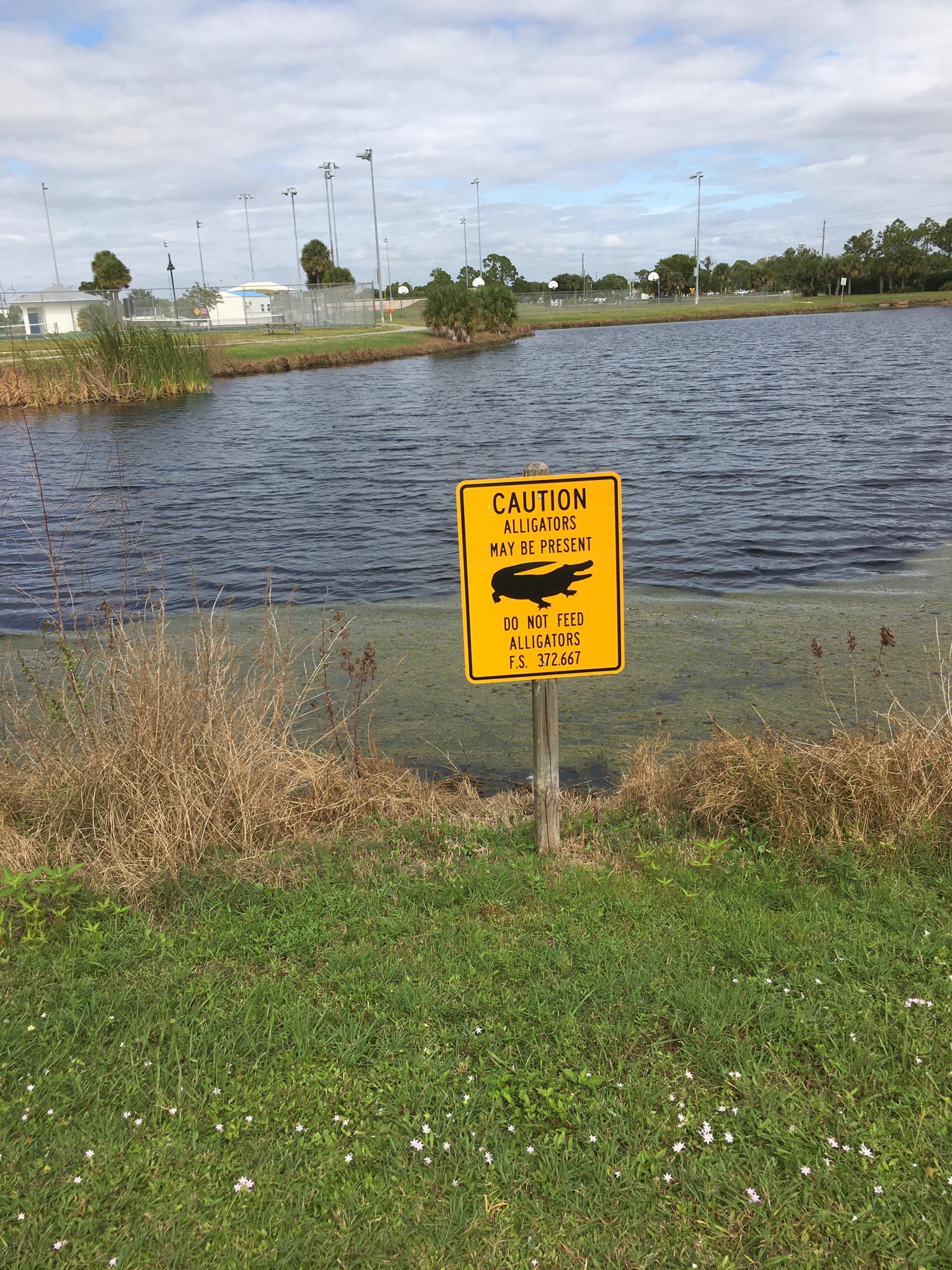 A yellow alligator warning sign stands beside a pond on a cloudy day.