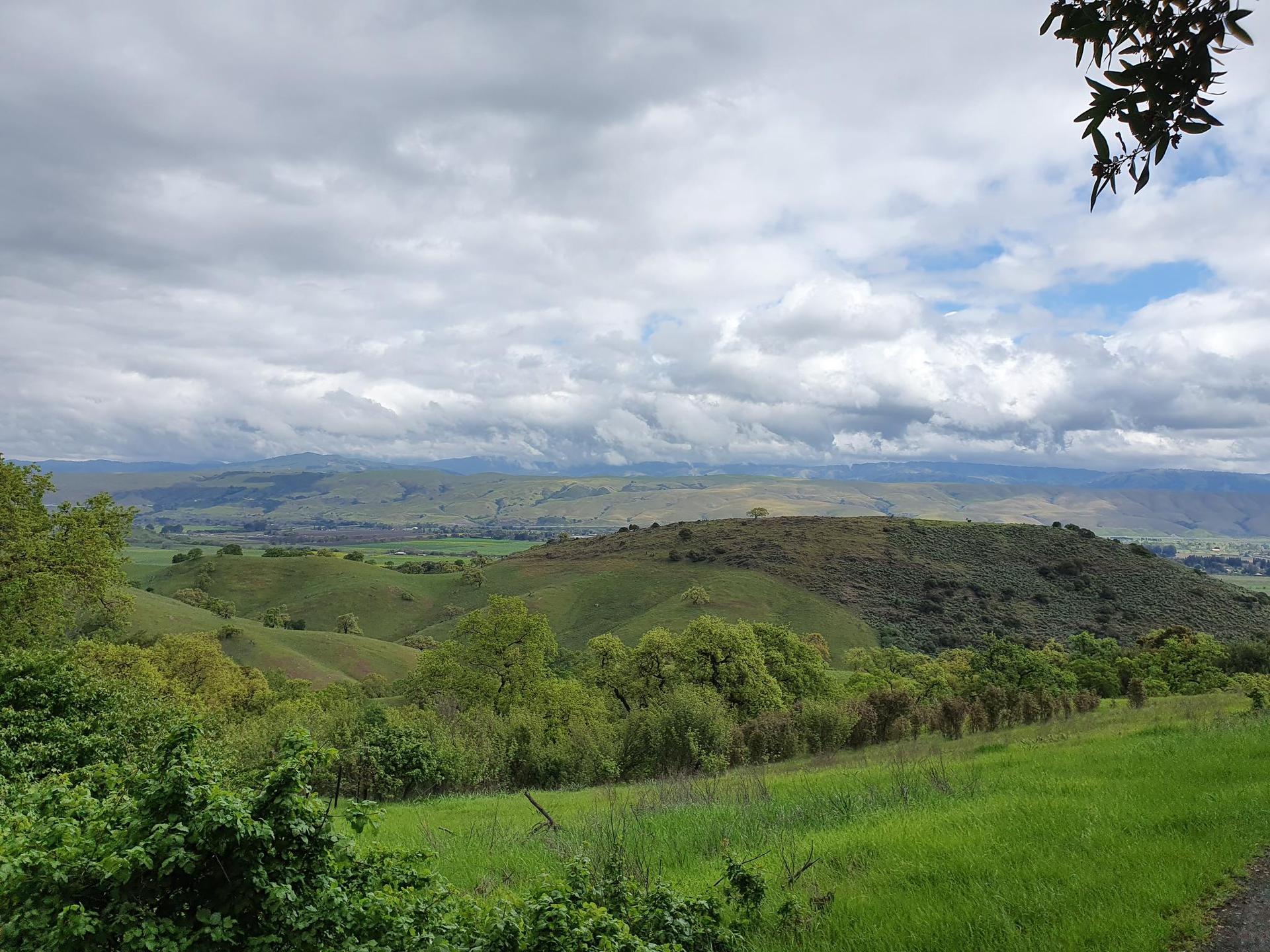 Overcast view of green rolling hills and a distant valley under cloudy skies.