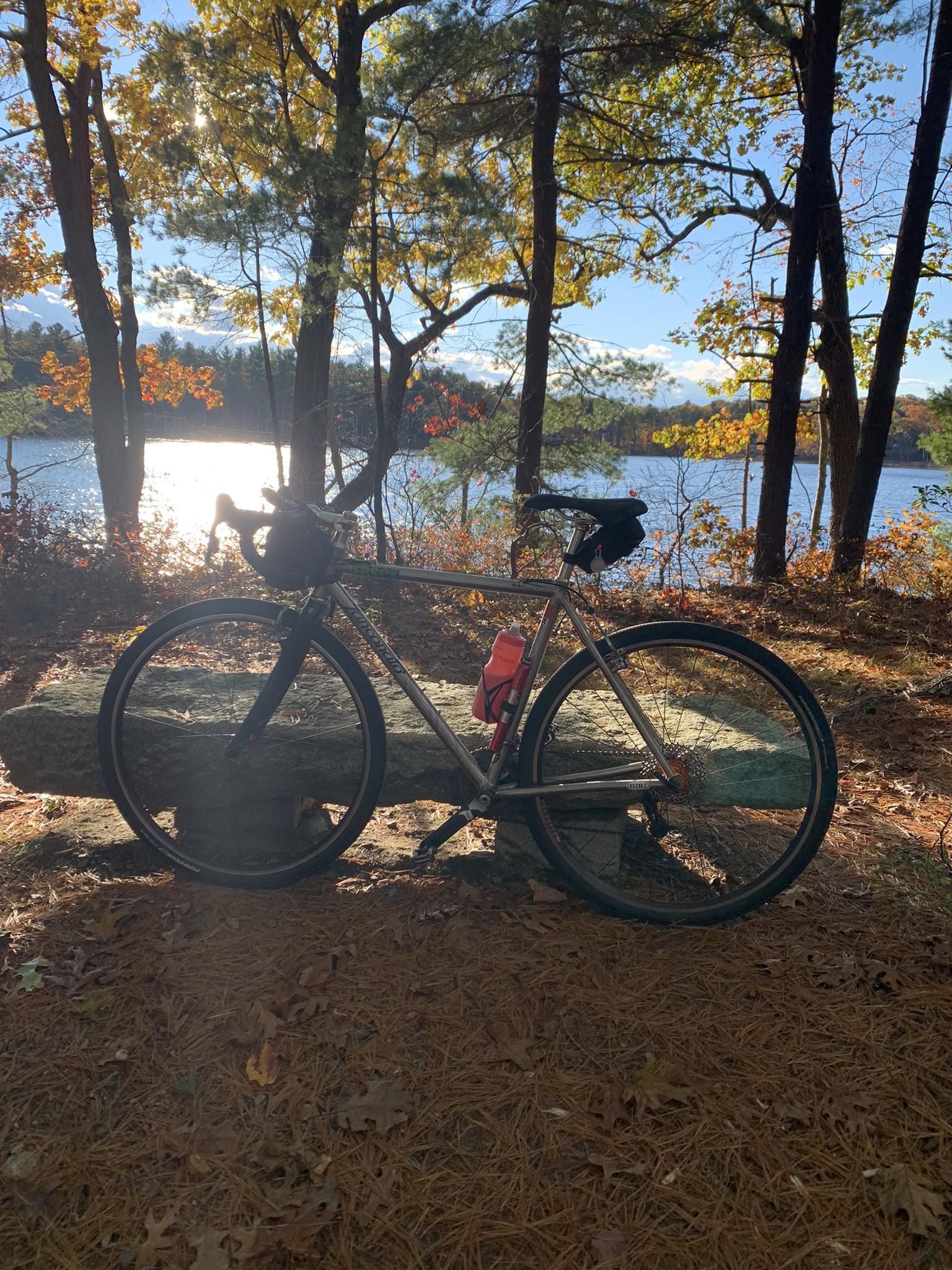 Bicycle resting on a log in a sunlit autumn forest by a lake.