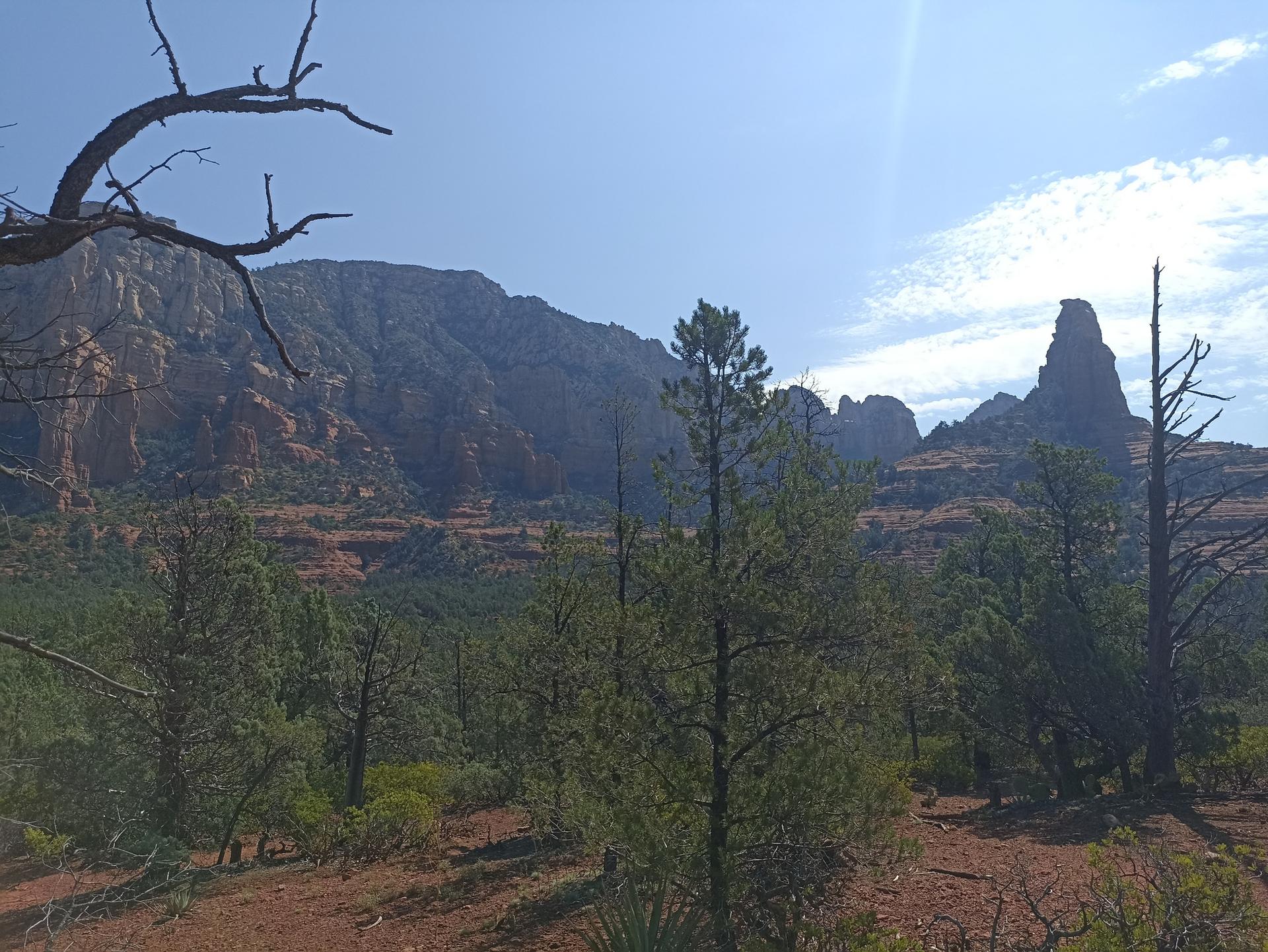 Sunny desert landscape with red rock mountains, green trees, and clear sky.