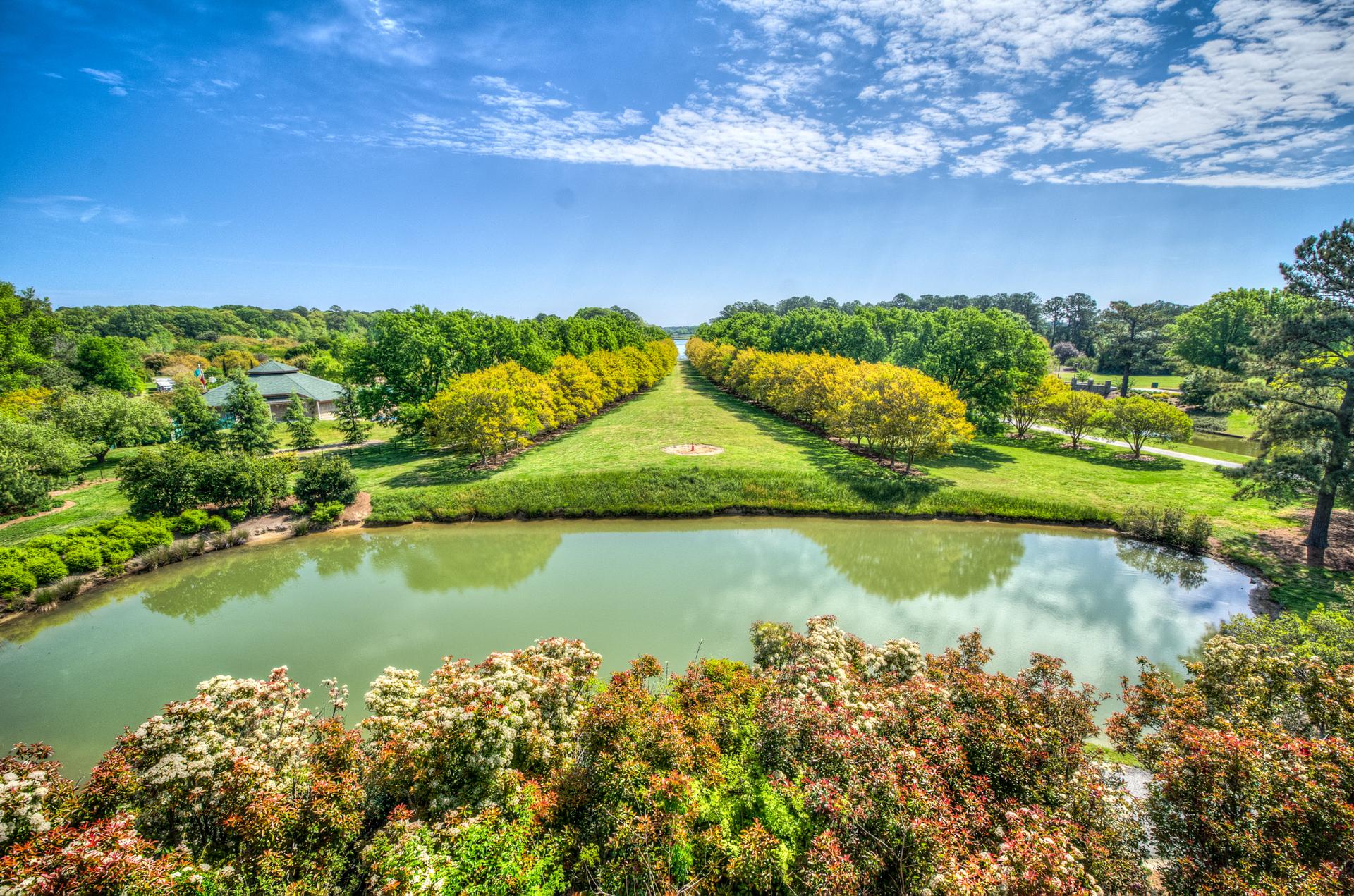 Bright sunny day over a manicured garden with a reflective pond and trees.