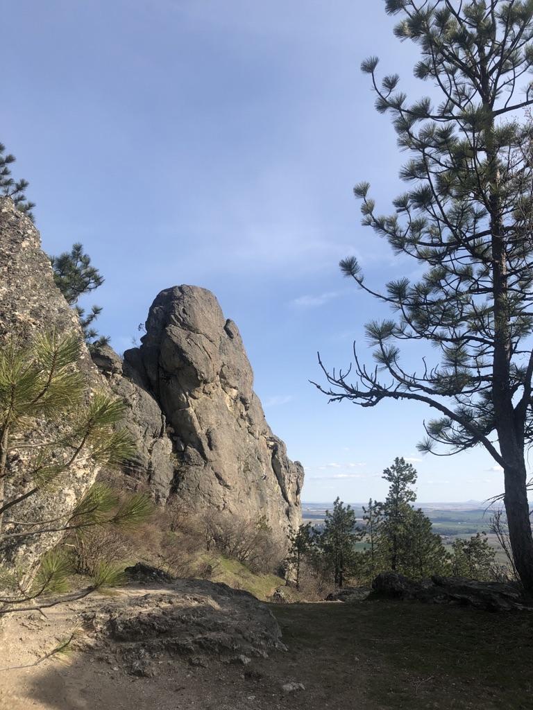 Towering rock formation beside pine trees, overlooking a distant valley.