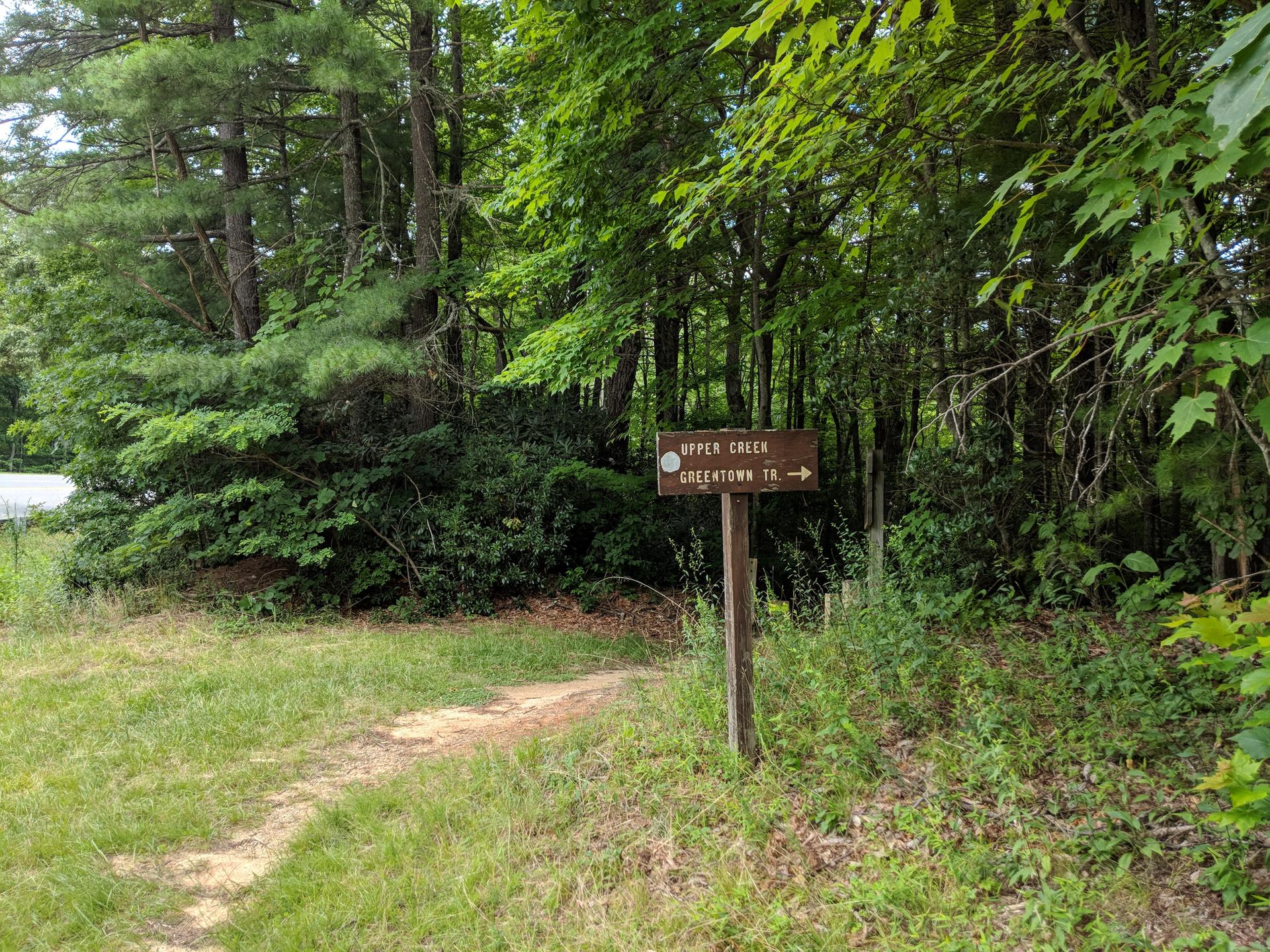 A trail sign stands on a grassy path leading into a vibrant green forest.